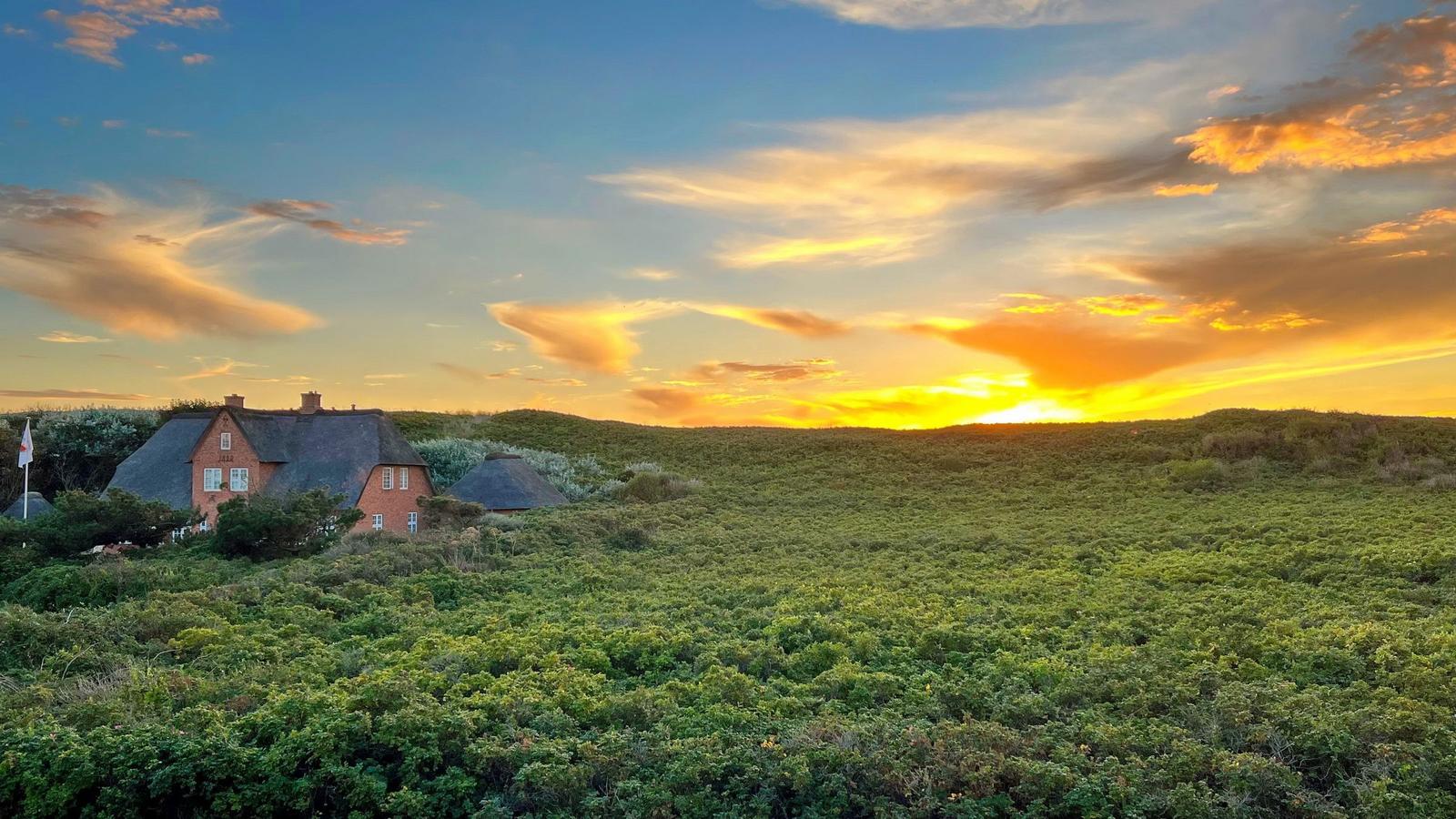 Haus mit Dachziegeln auf grüner Wiese bei Sonnenuntergang.