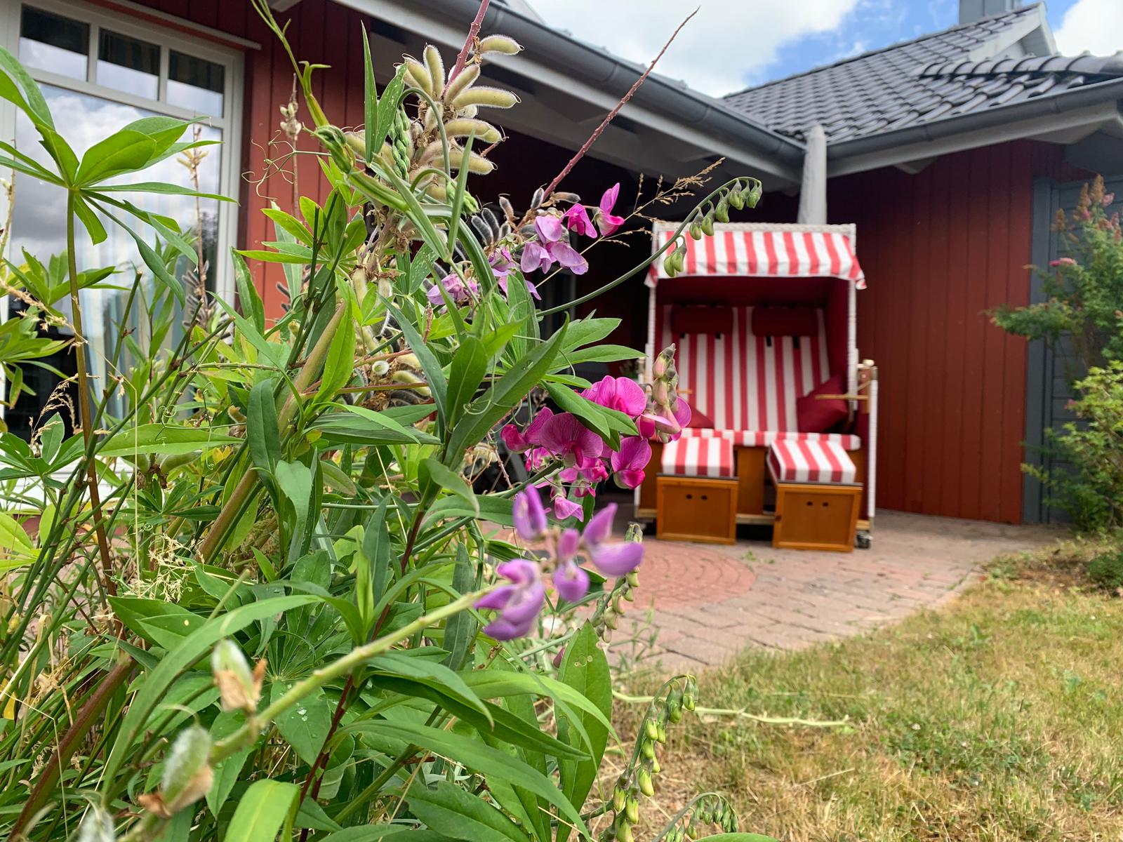 Garten mit Terrasse und Strandkorb