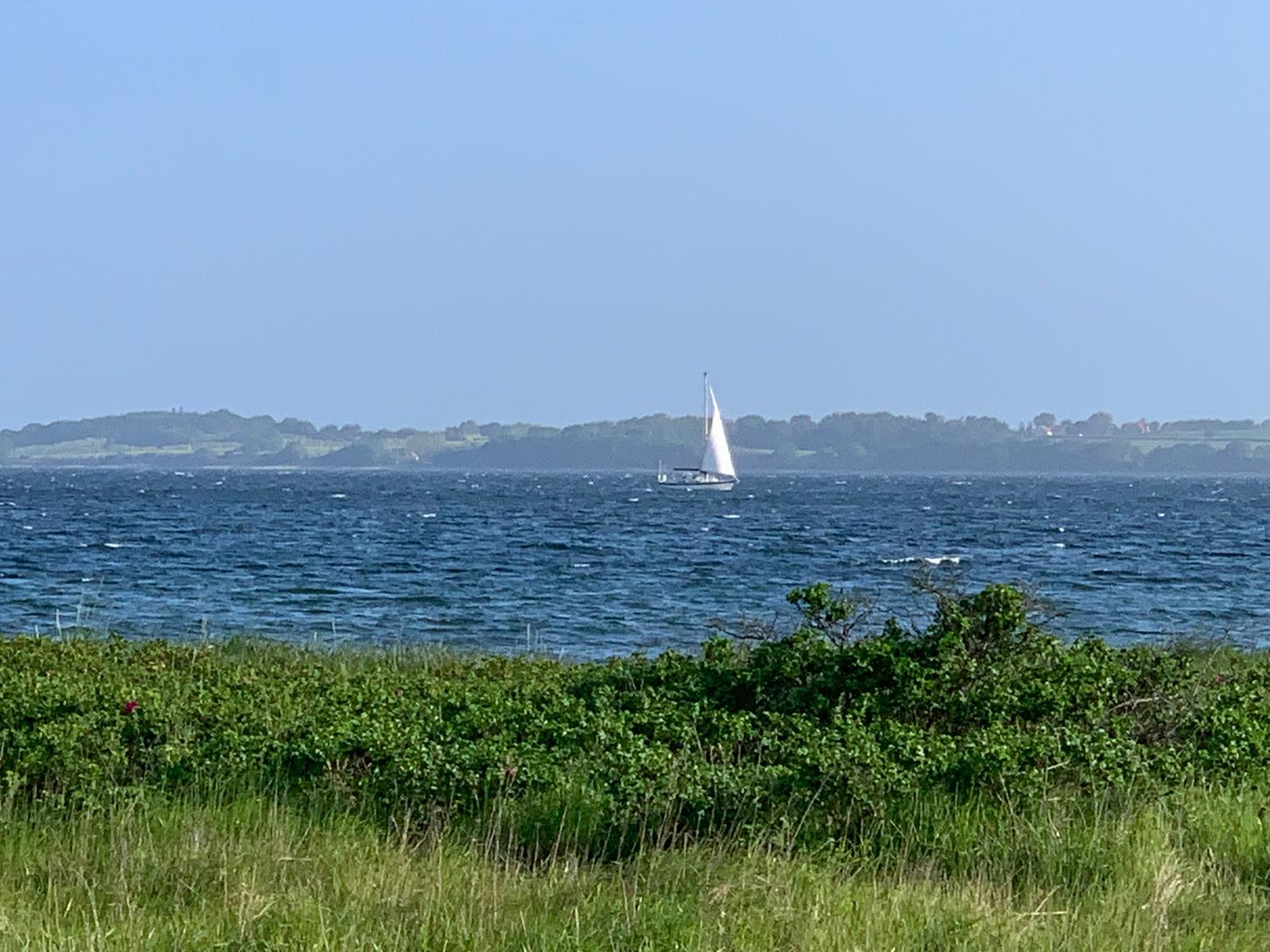 Blick nach Dänemark über die Flensburger Förde