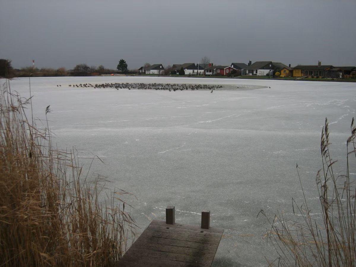 Badesee im Winter