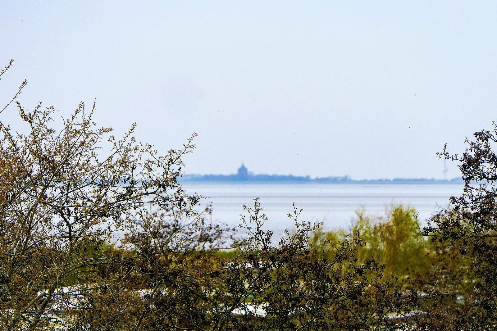 Gartenblick