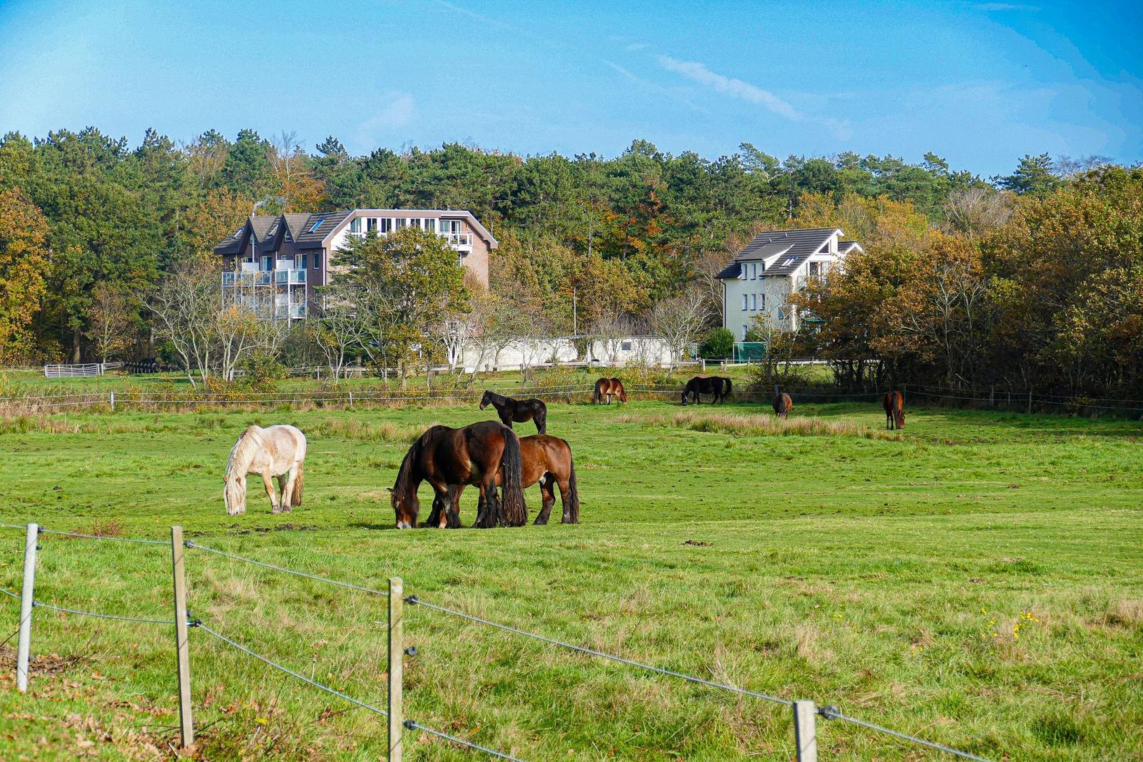Landschaft