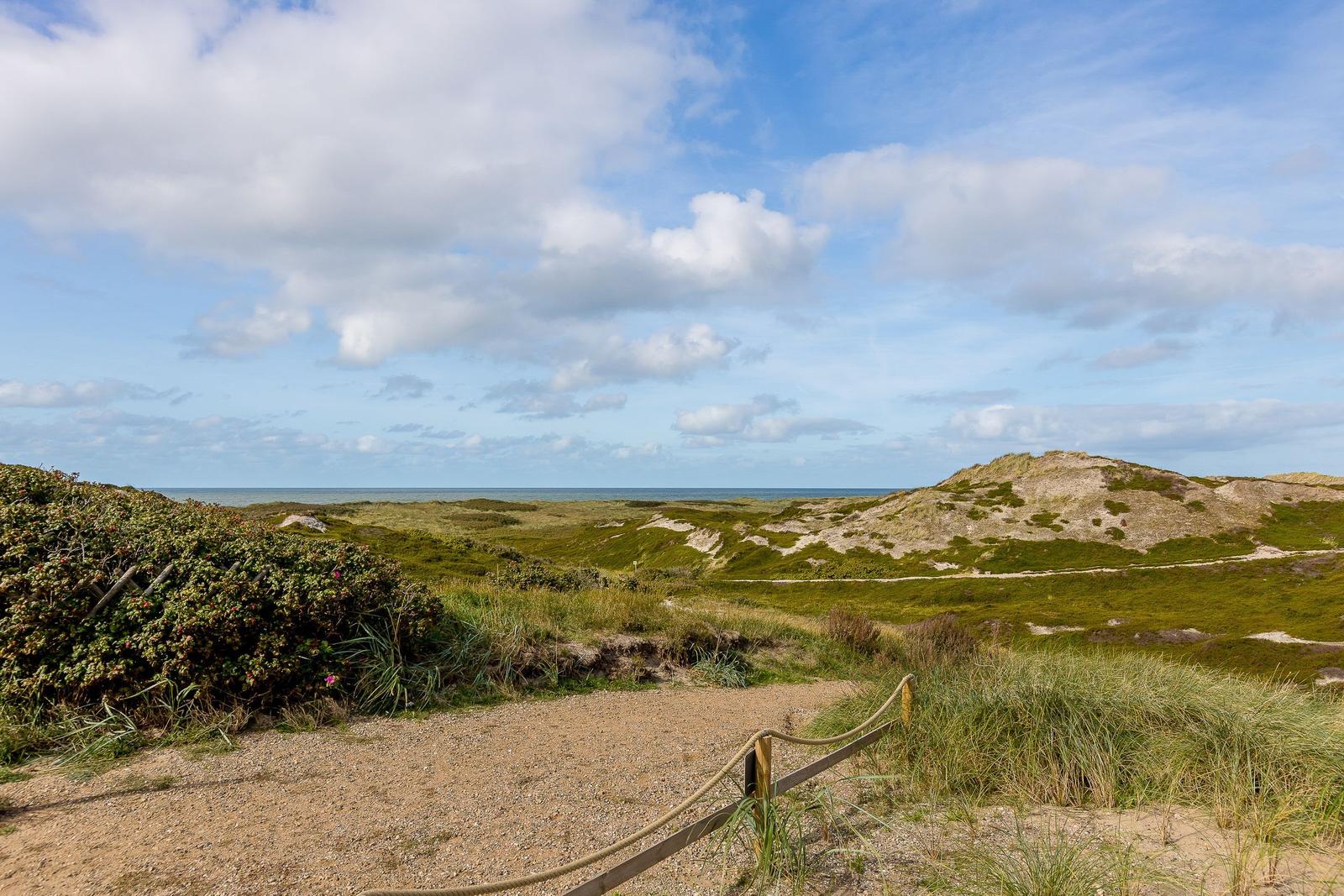 Wanderweg durch Dünenlandschaft mit Blick auf das Meer unter blauem Himmel.
