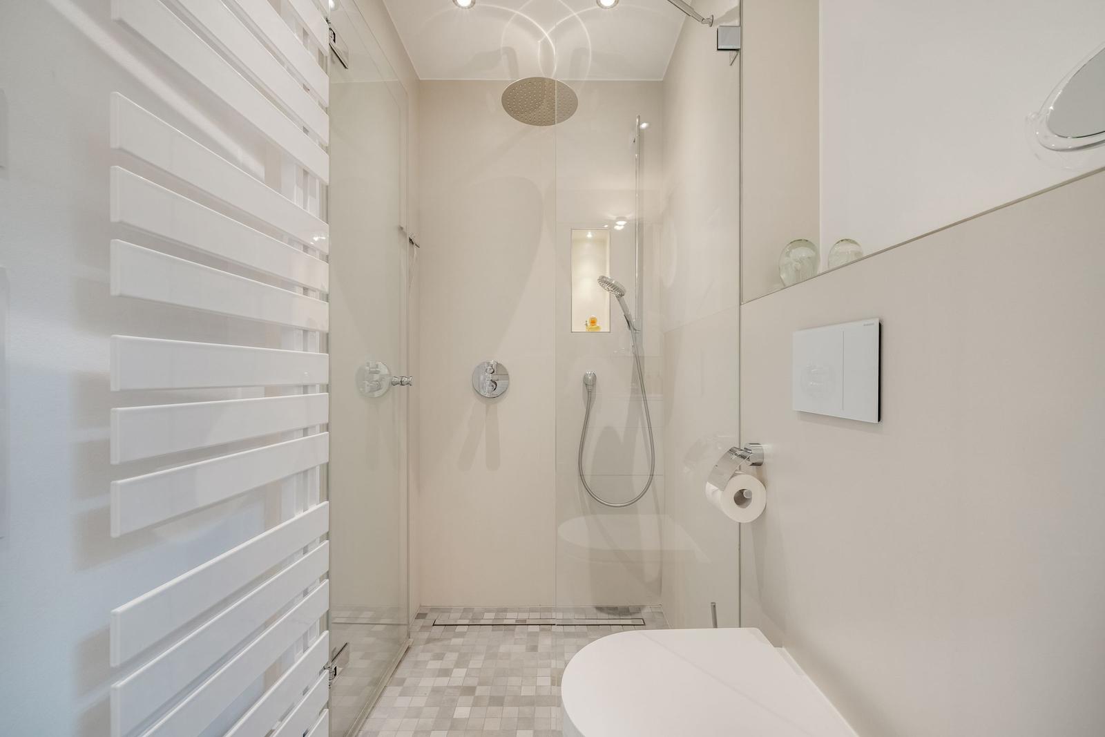 Moderne Dusche mit Regenduschkopf und Handbrause. Toilette und Heizung sind sichtbar.