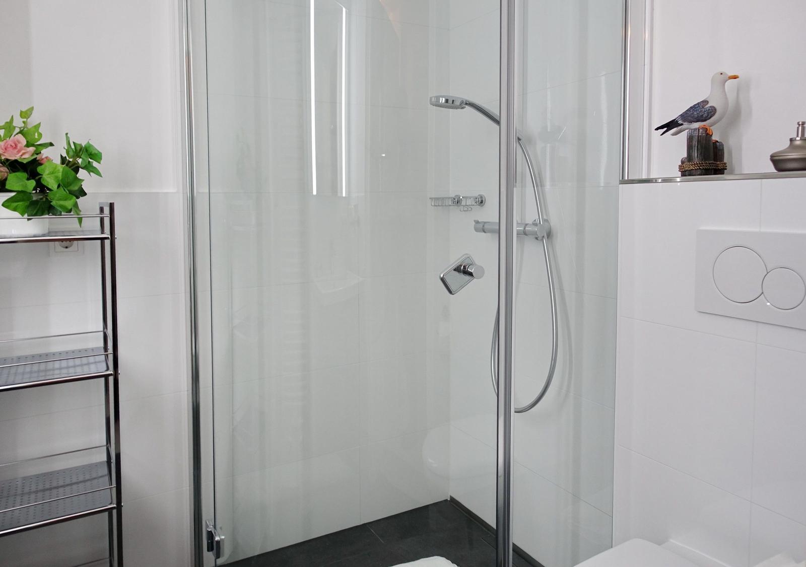 Shower area with glass enclosure, shower head, and shelf with plant.