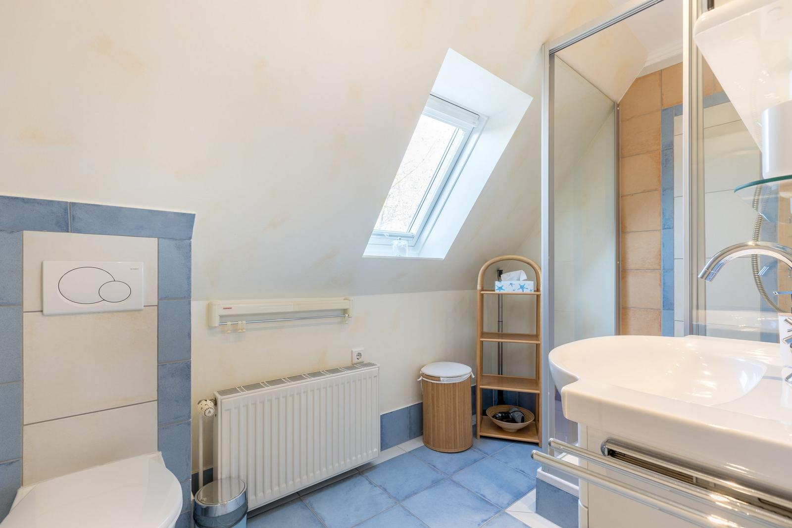 Badezimmer mit Dusche, Waschbecken und Dachfenster.