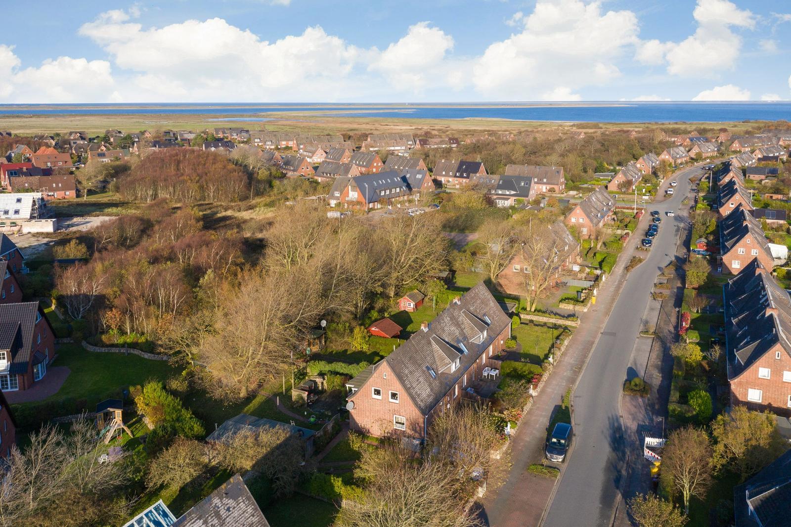 Aerial view of a residential area with houses, trees, and a coastal landscape in the background.