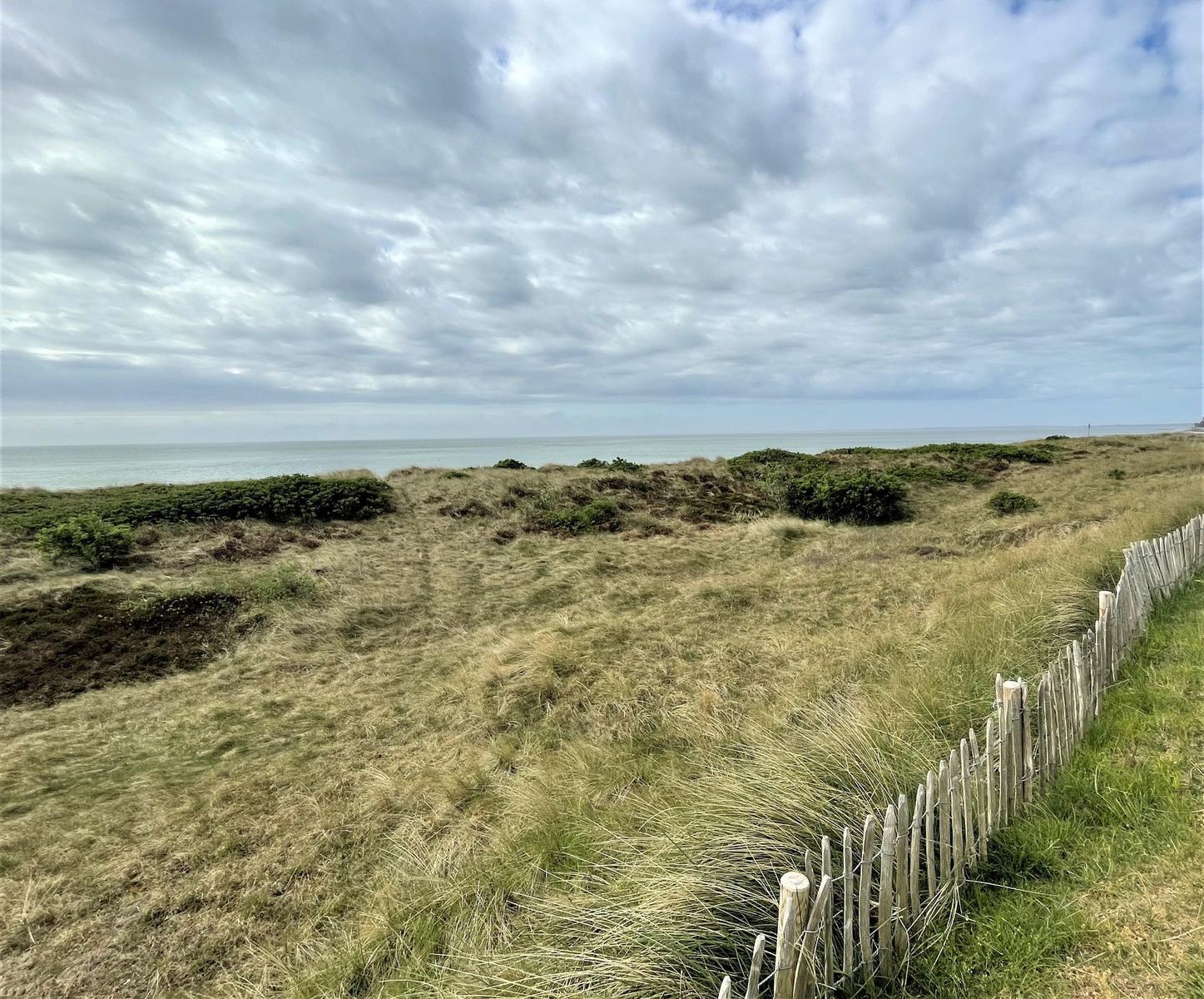 Grasbewachsene Dünen mit Holzzaun und Blick auf das Meer unter bewölktem Himmel.