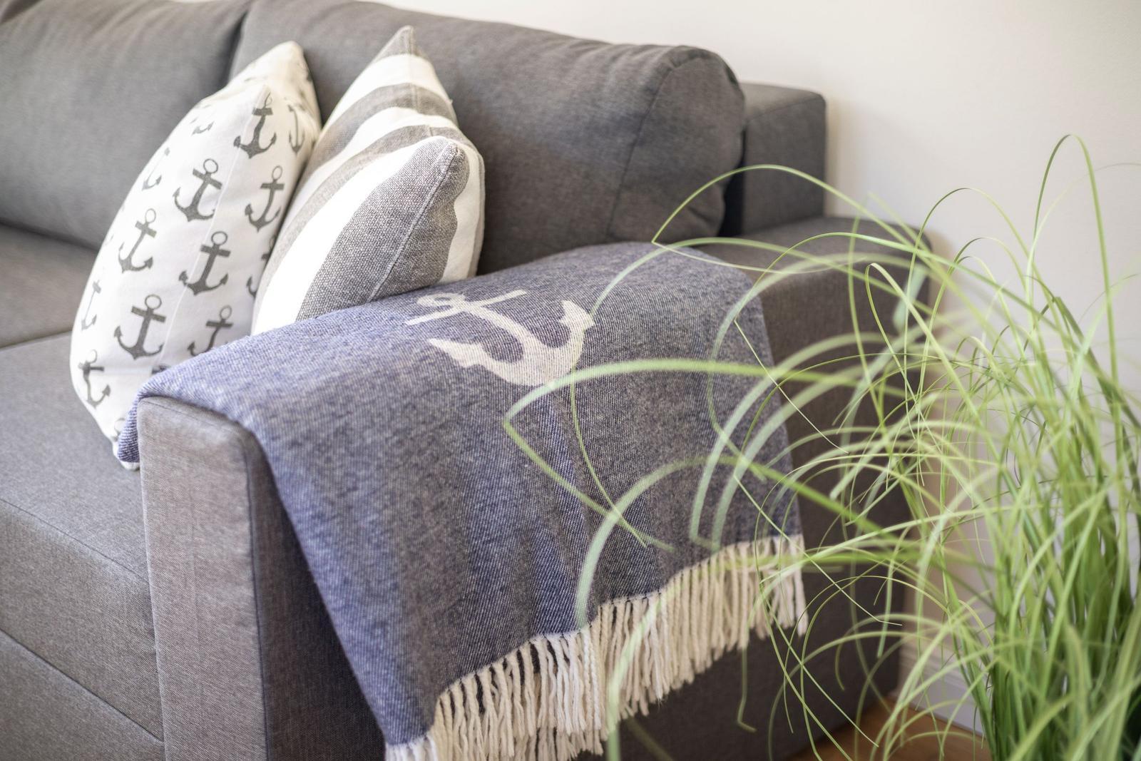 Gray sofa with anchor-patterned cushions and blanket, green plant in foreground.