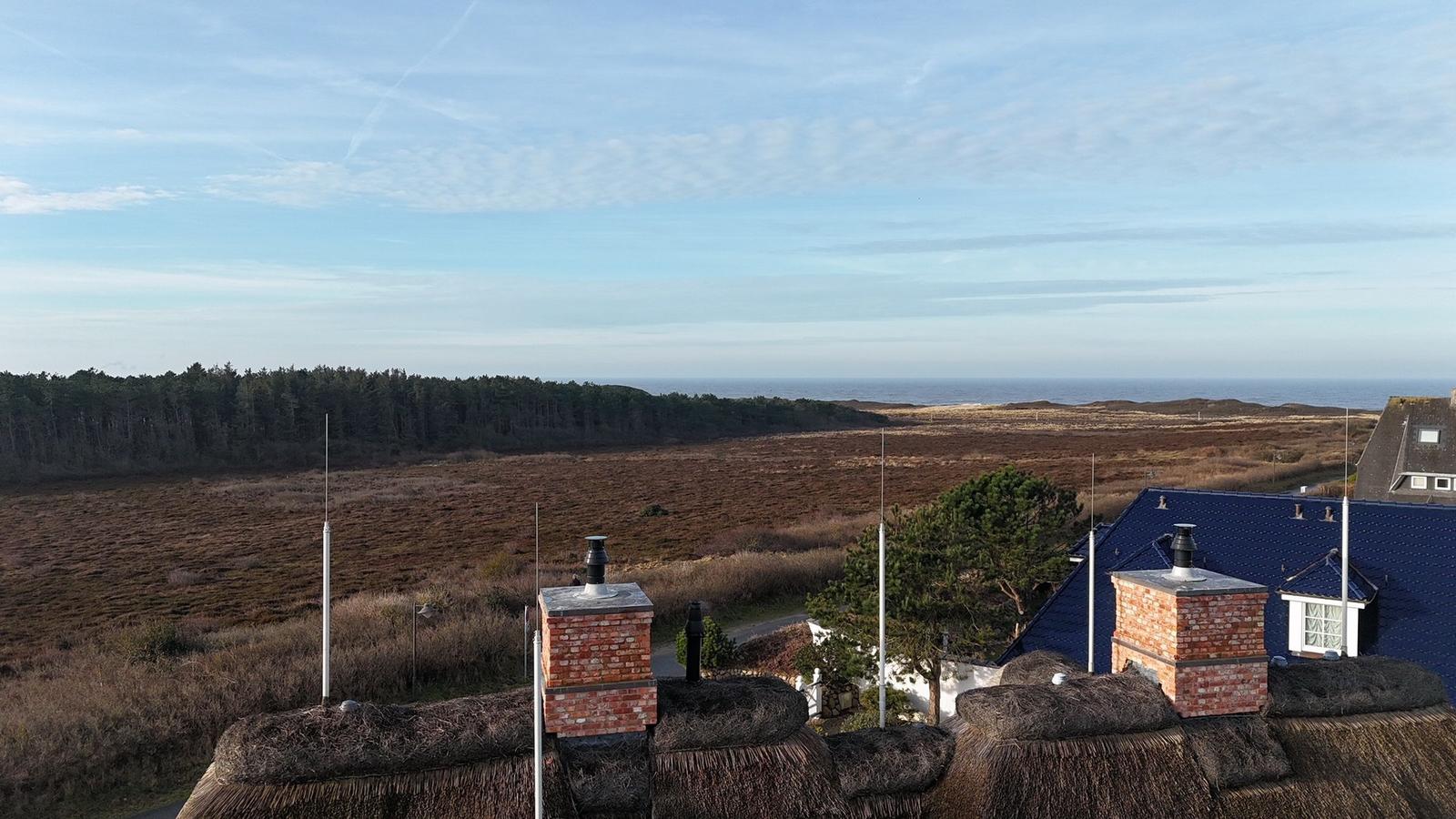Dachlandschaft mit Blick auf Wald und Meer