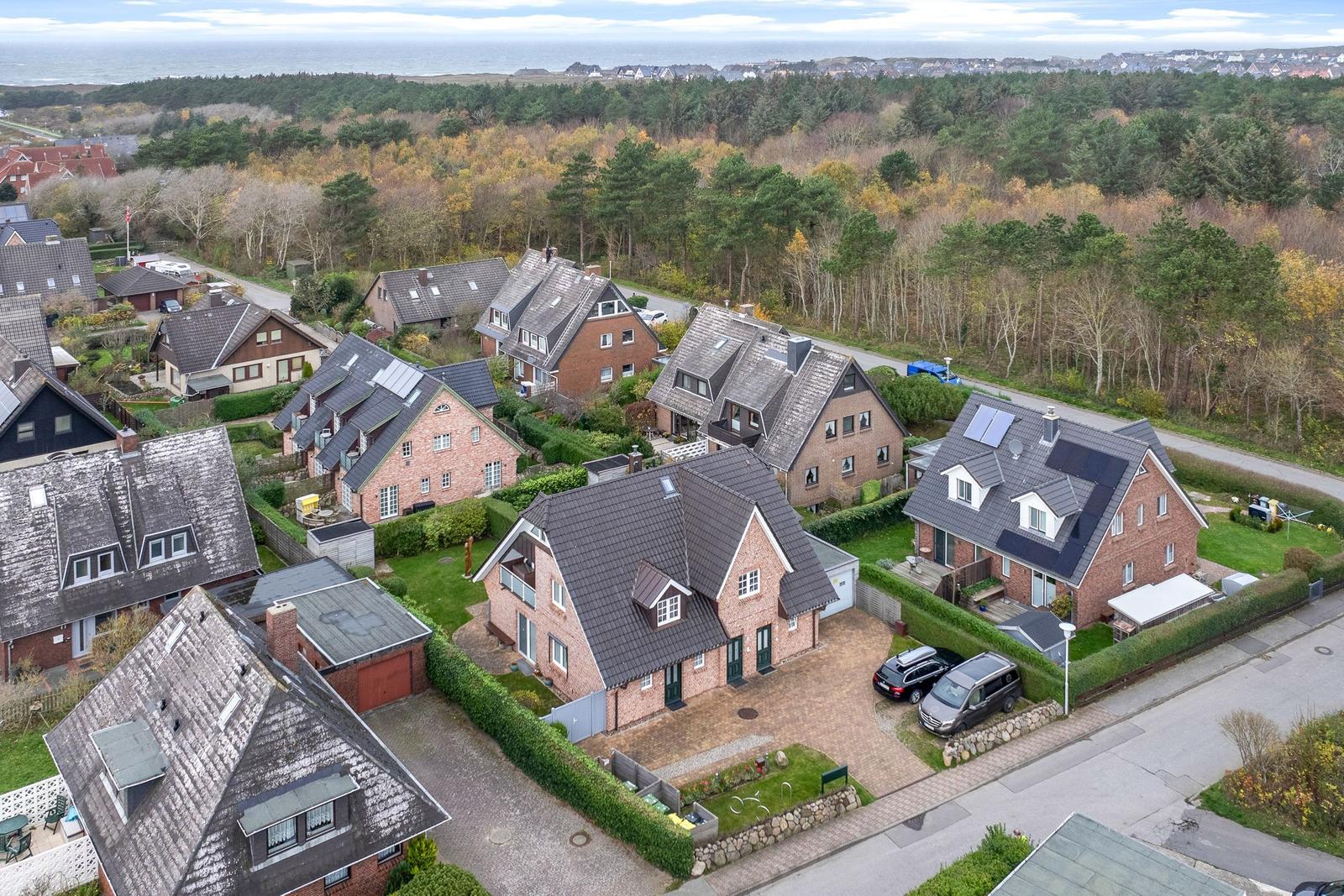 Houses with gardens and forest in background, view of the sea.