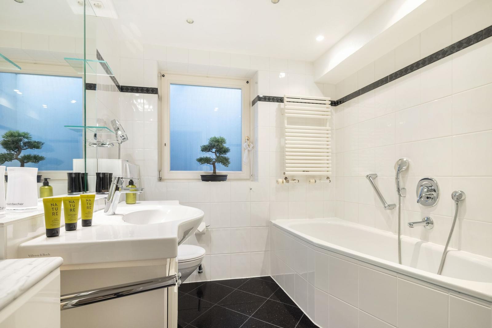 Bathroom with bathtub, sink, and bonsai plant by the window.