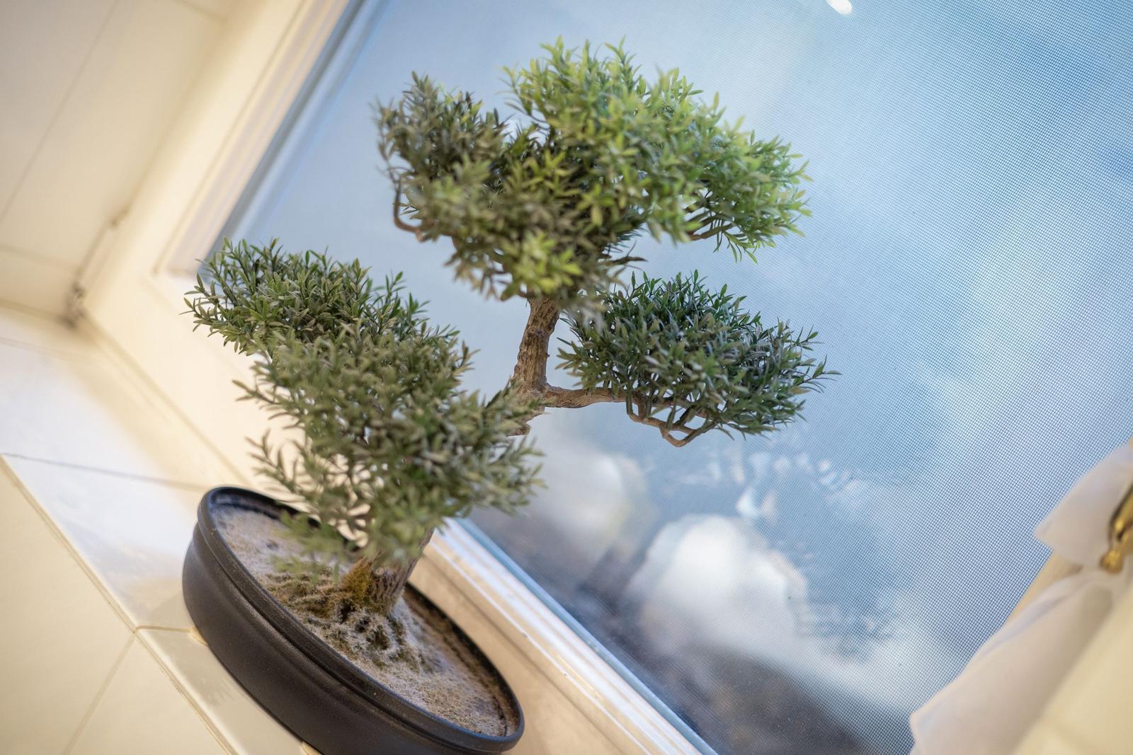 Bonsai tree in black pot on windowsill with view of cloudy sky.