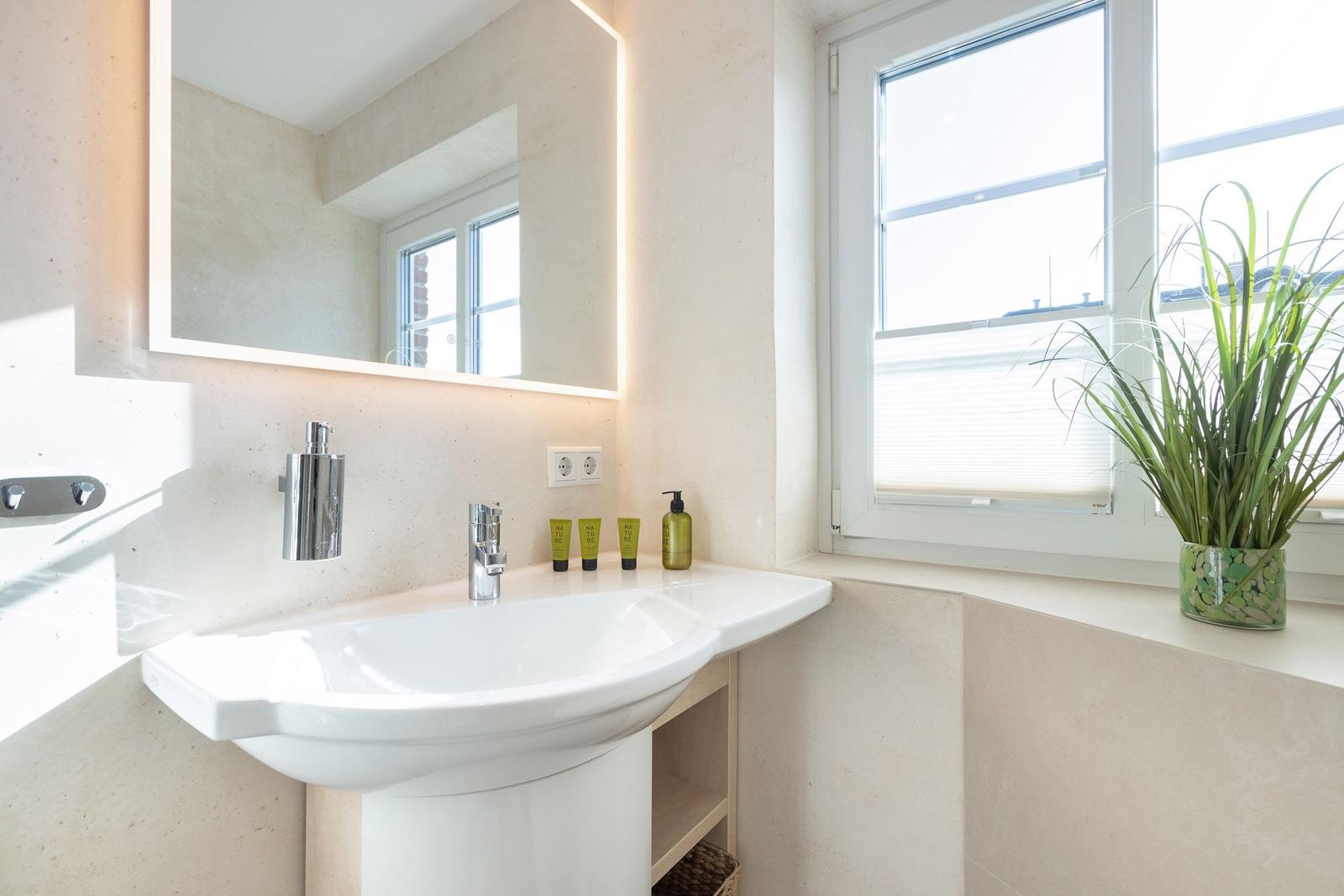 Sink with mirror, window, and plant