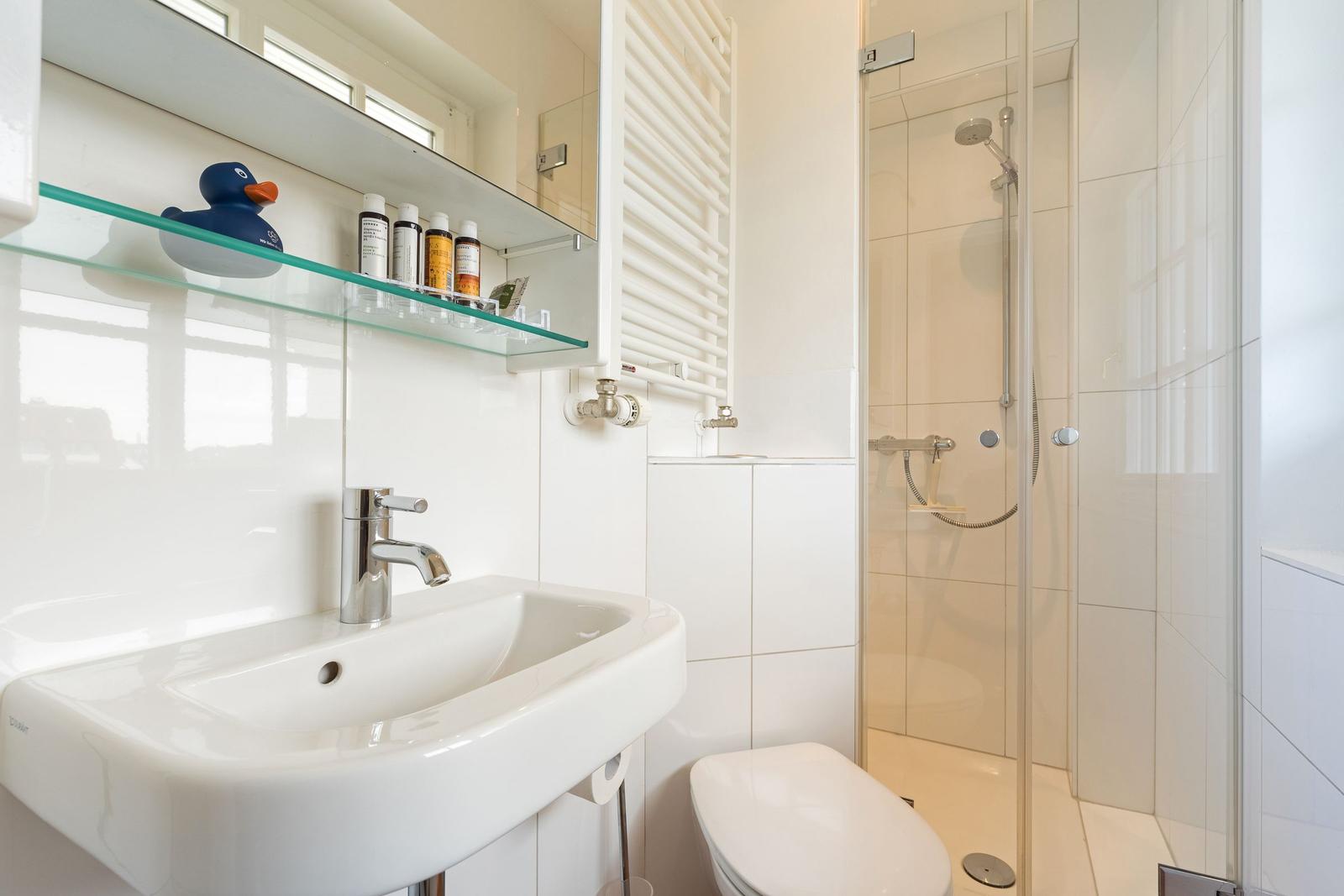 Badezimmer mit Dusche, Waschbecken und Toilette. Auf Regal eine blaue Ente.