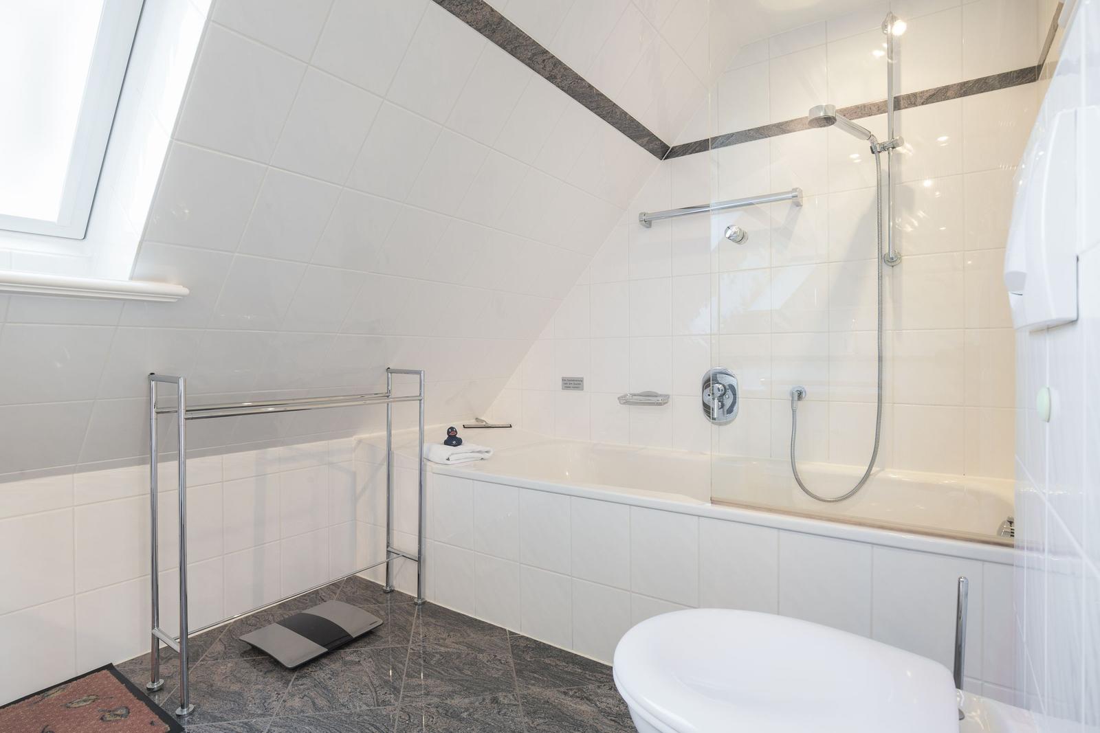 Bathroom with bathtub, shower, and skylight.