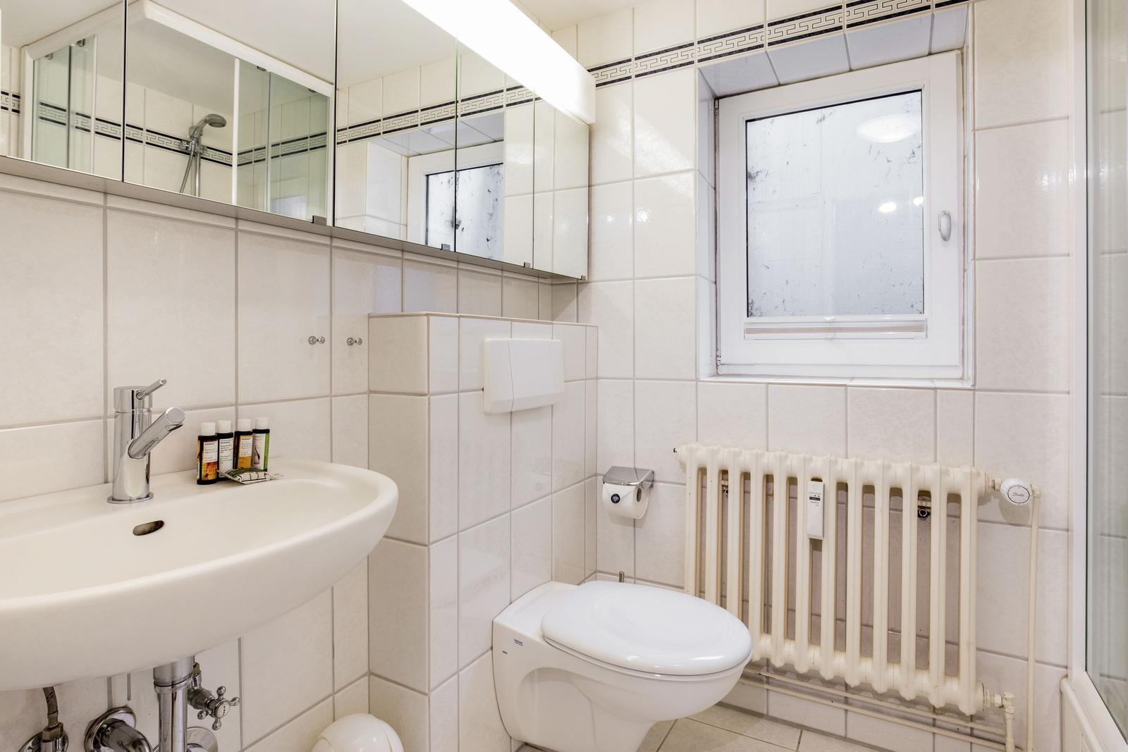 Bathroom with sink, mirror, toilet, and radiator.