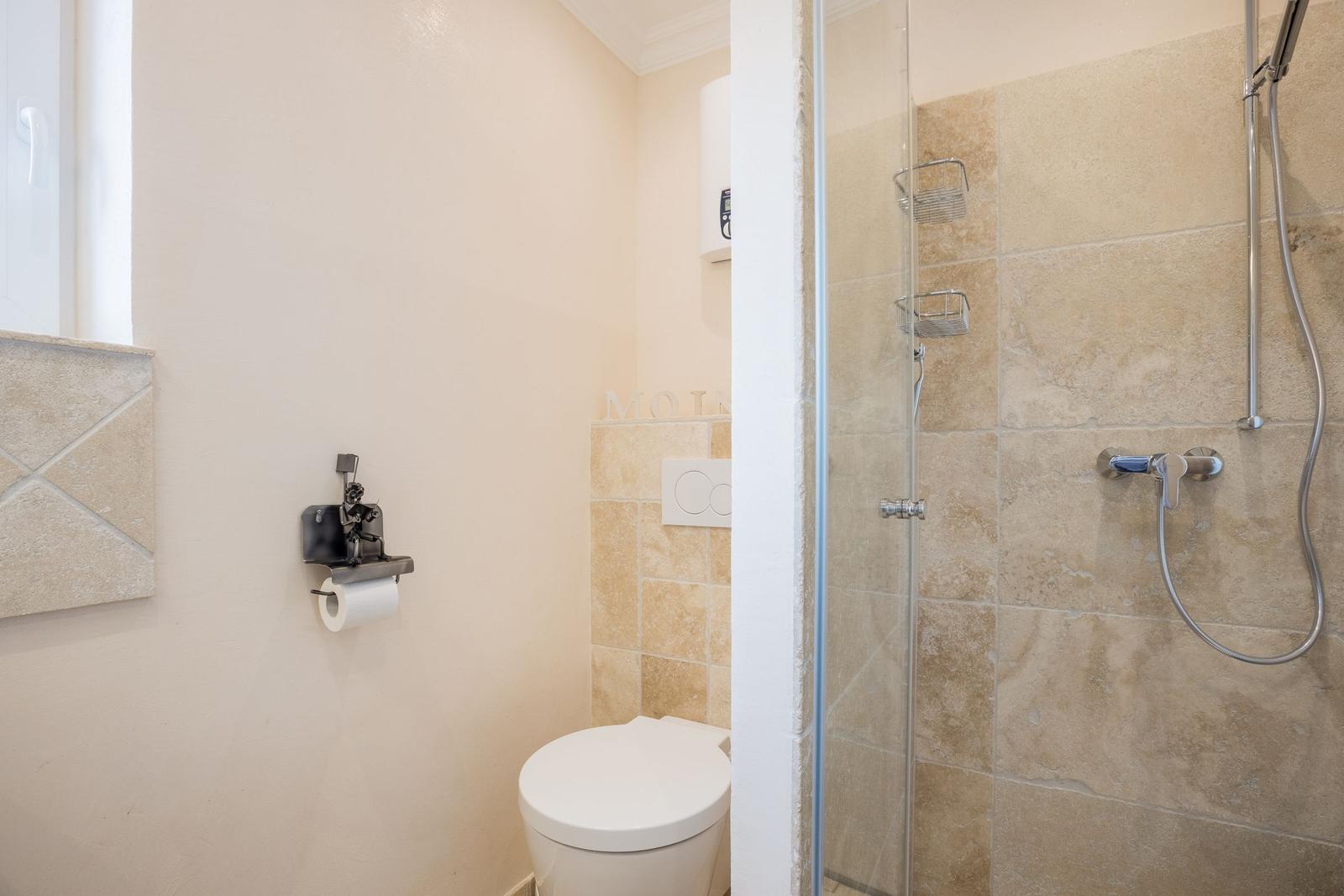 Bathroom with shower, toilet, and toilet paper holder.