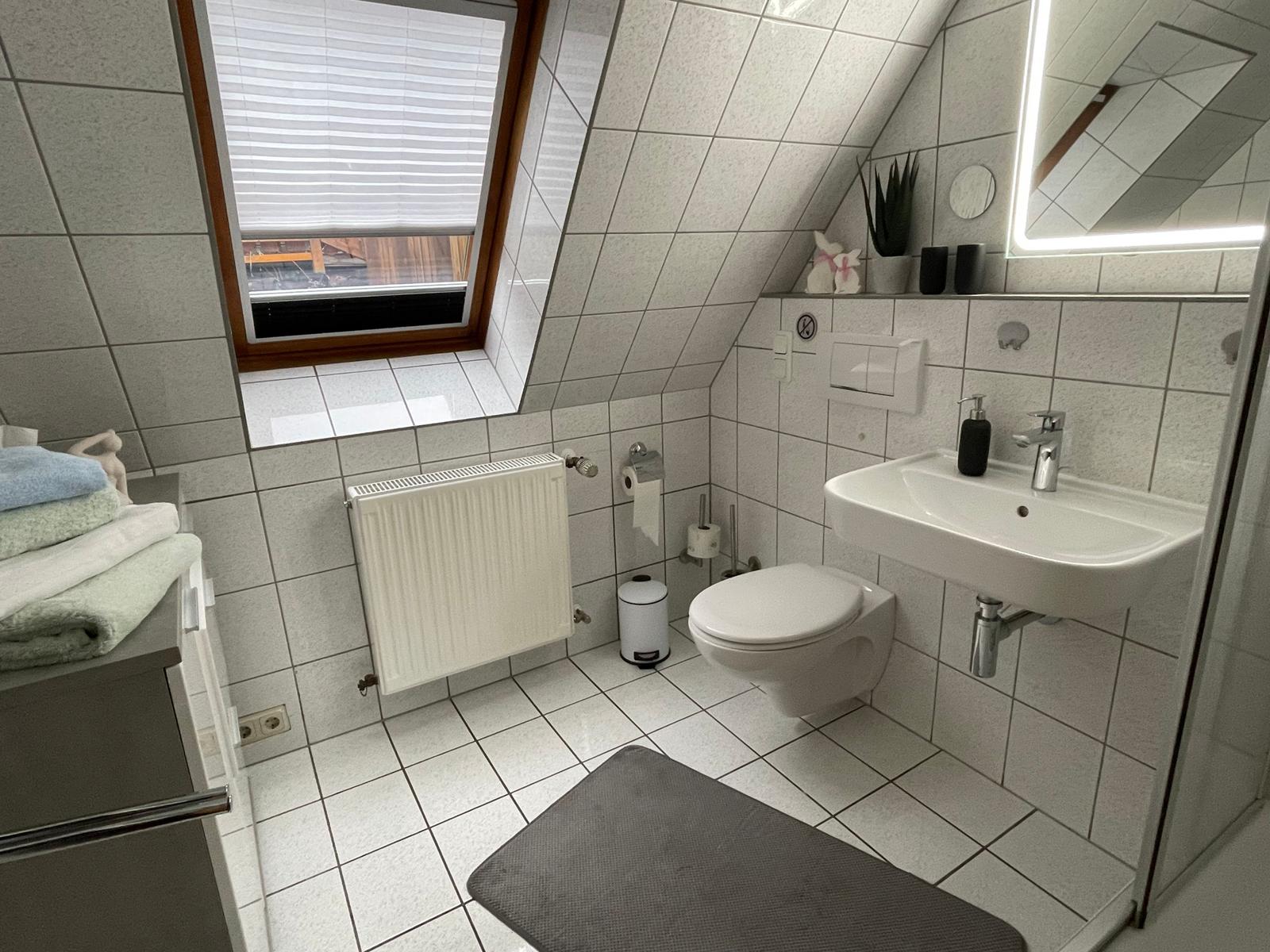 Helles Bad mit Dachfenster, Toilette, Dusche und großes Waschbecken mit beleuchtetem Spiegel.