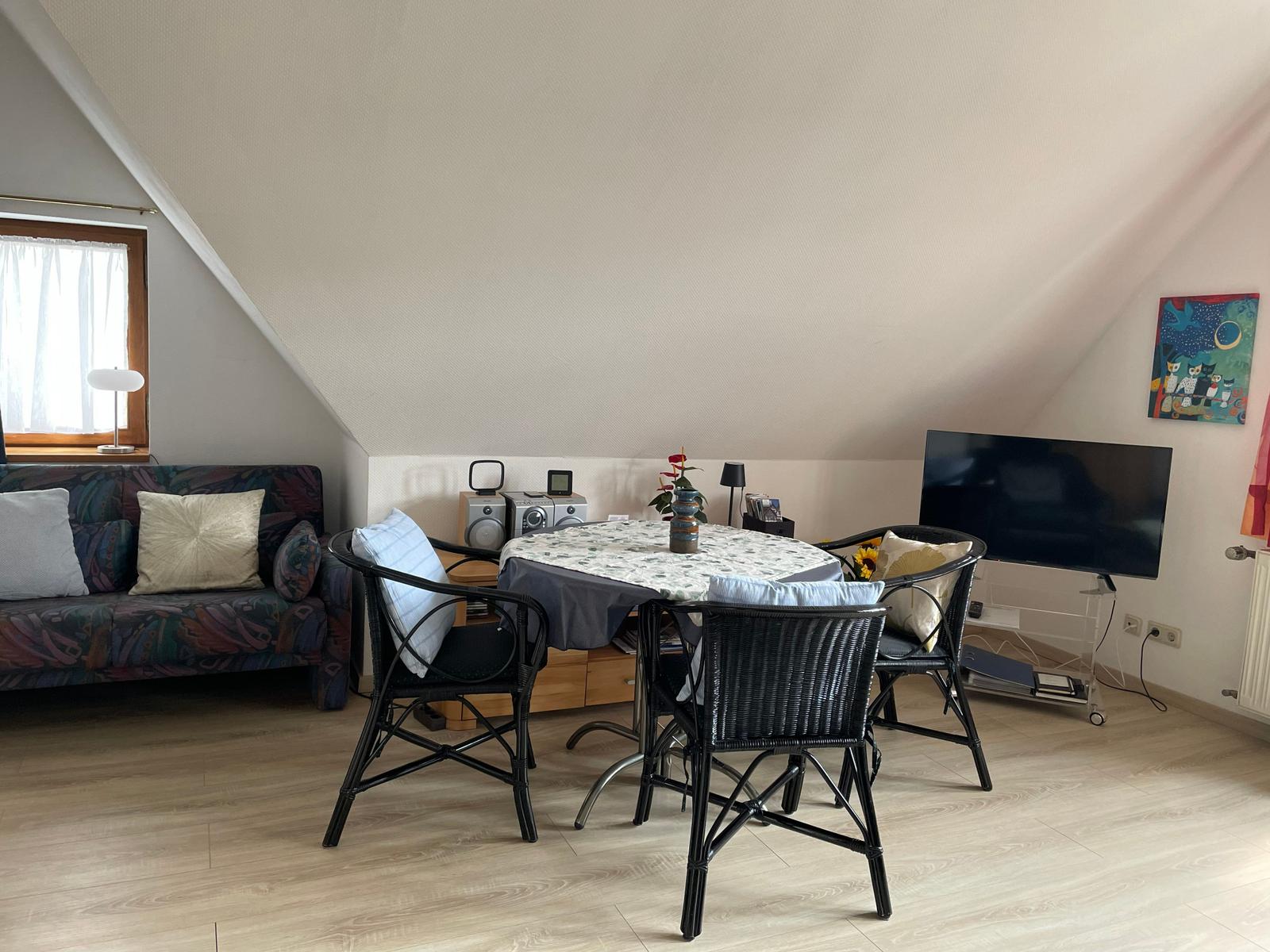 Wohnraum mit ausziehbarer Schlafcouch.