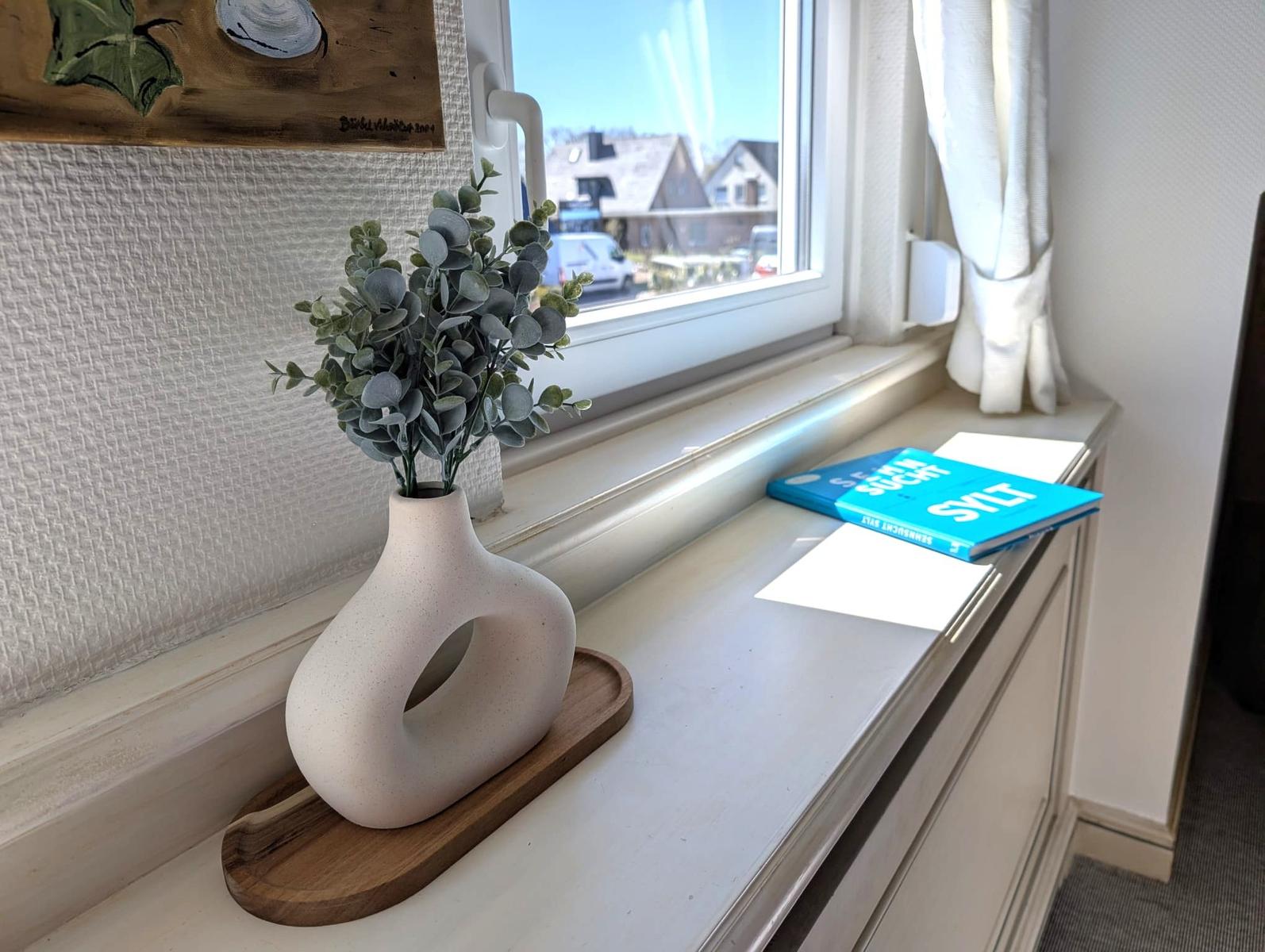 Fensterbank mit Vasenpflanze und Buch. Blick auf Straße und Häuser.