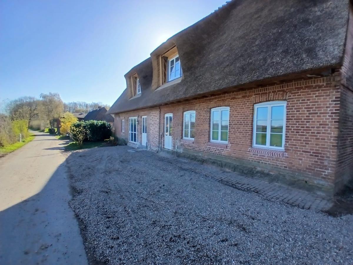 Reetdachhaus Brarupholz