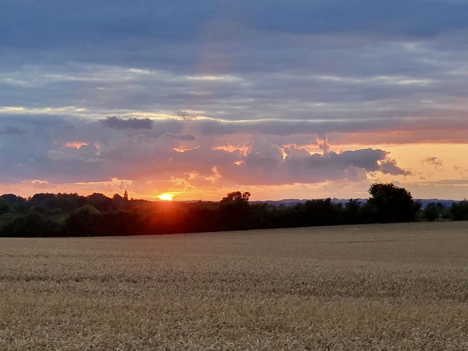 Landschaft...