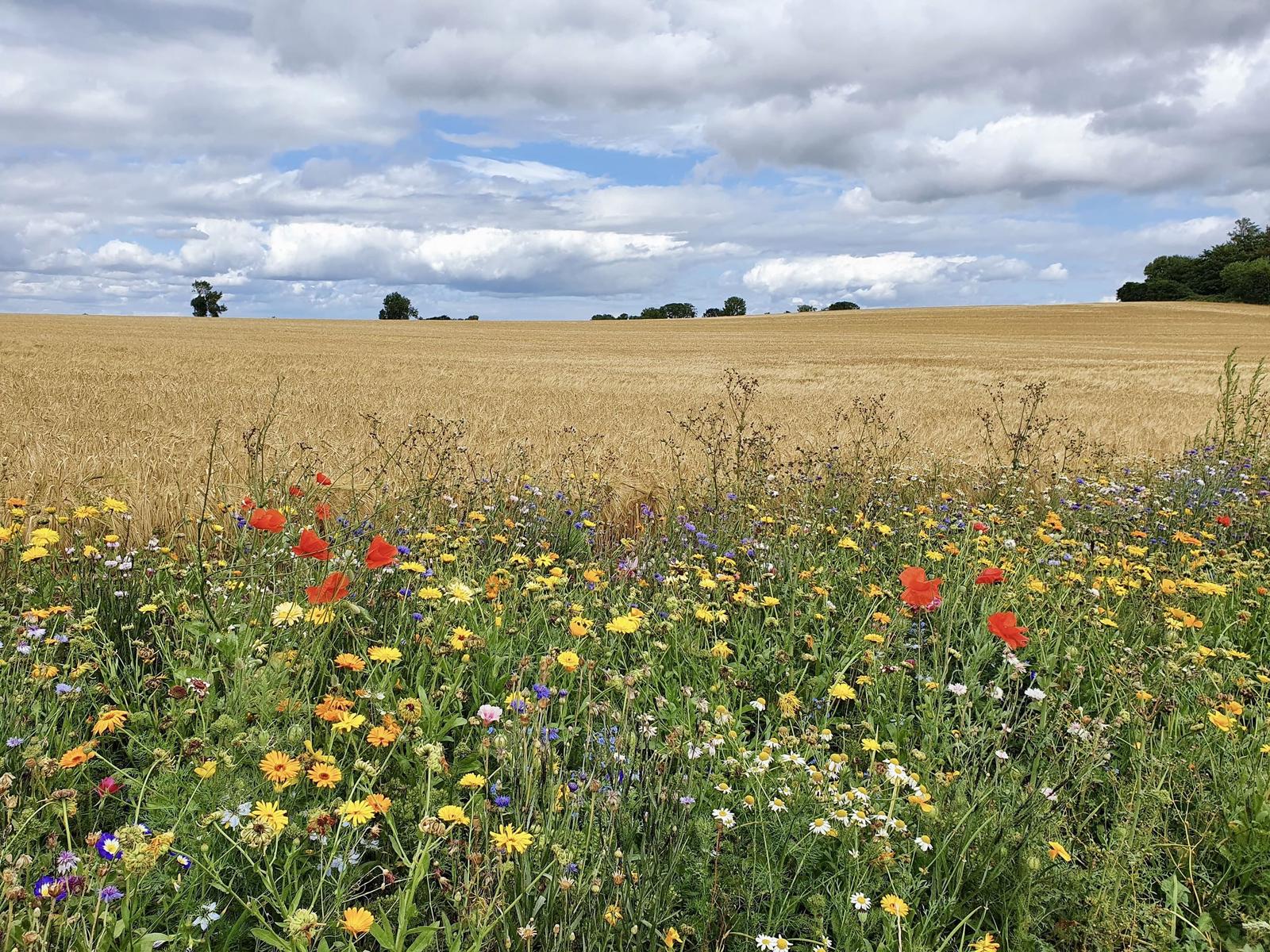 Landschaft...