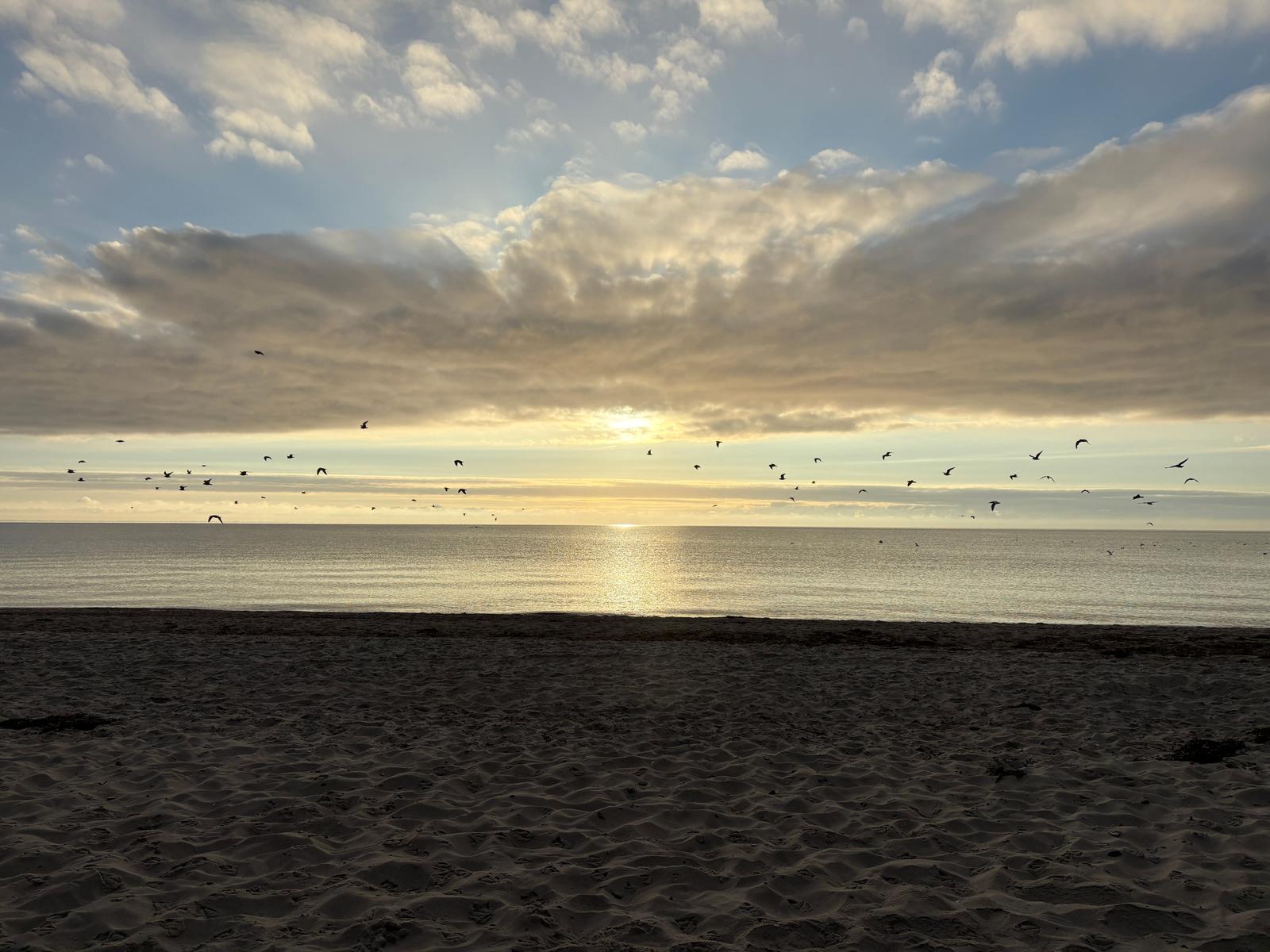 Strand bei Sonnenuntergang mit Vögeln im Himmel und ruhigem Meer.