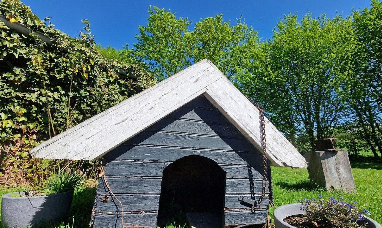 Holzhütte mit Schieferdach im Garten, umgeben von Bäumen und Pflanzen.