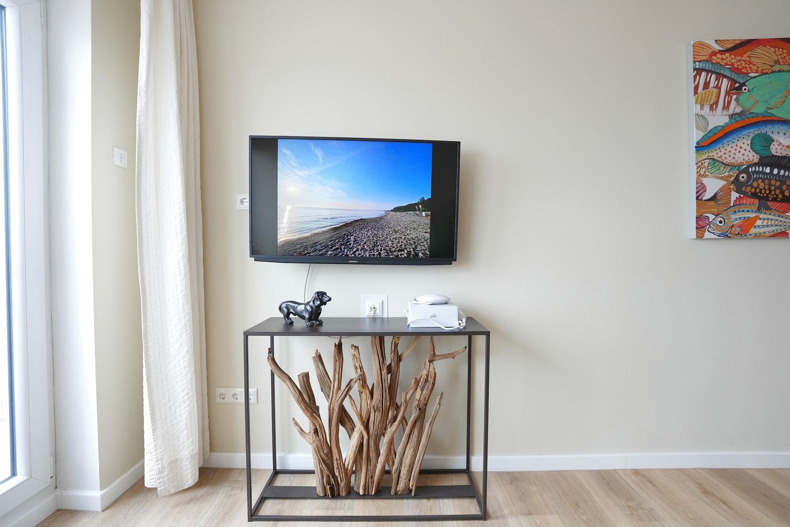 TV / Multimedia