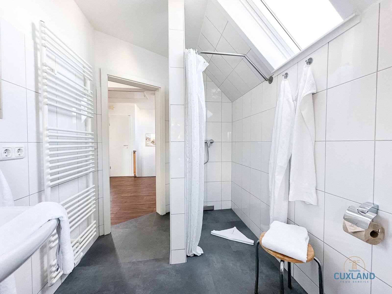 Badezimmer mit Dusche, Handtuchheizung und Toilettenpapierhalter.
