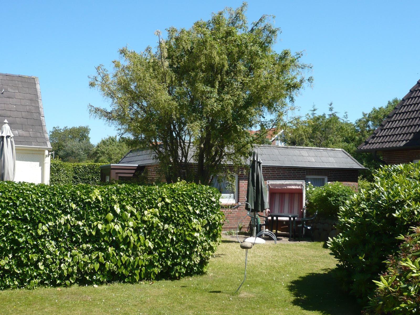 House with garden, parasol, and lounge chair under tree.