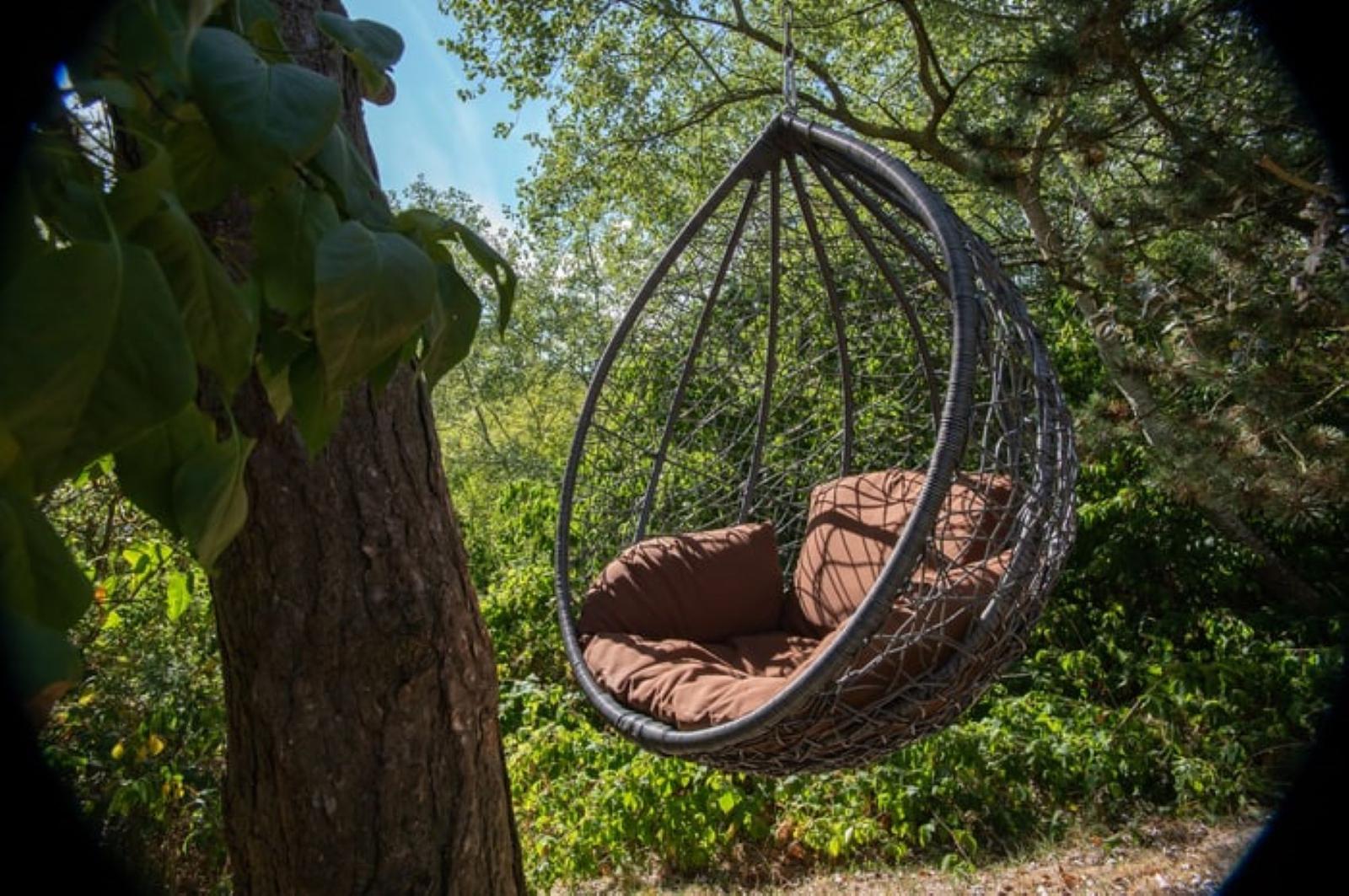 Hängesessel mit Kissen im Wald unter Bäumen