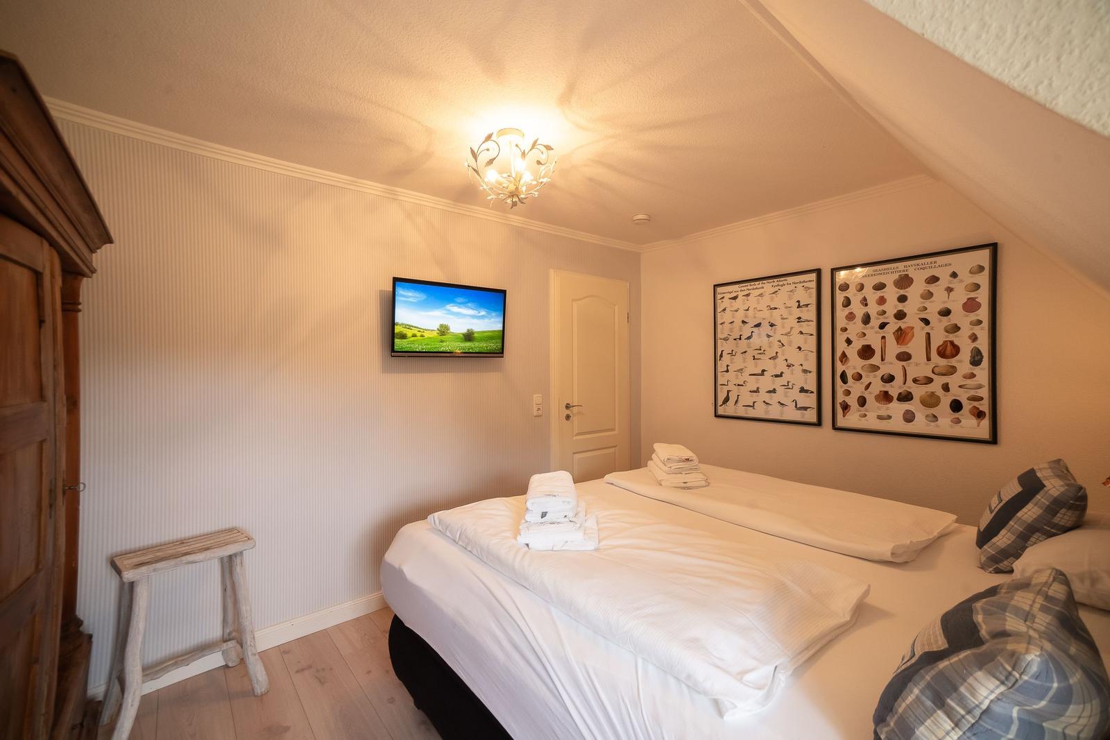 Bedroom with double bed, TV, and wall posters.