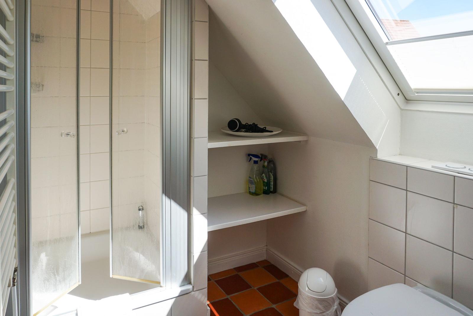 Badezimmer mit Dusche, Regal und Dachfenster.
