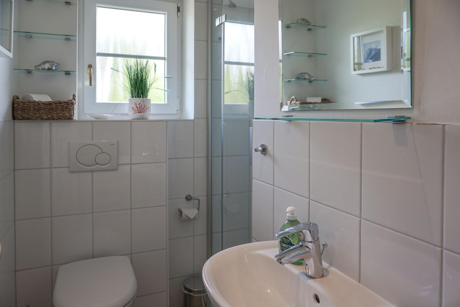Bathroom with toilet, shower, and sink. Window with plant and mirror cabinet.