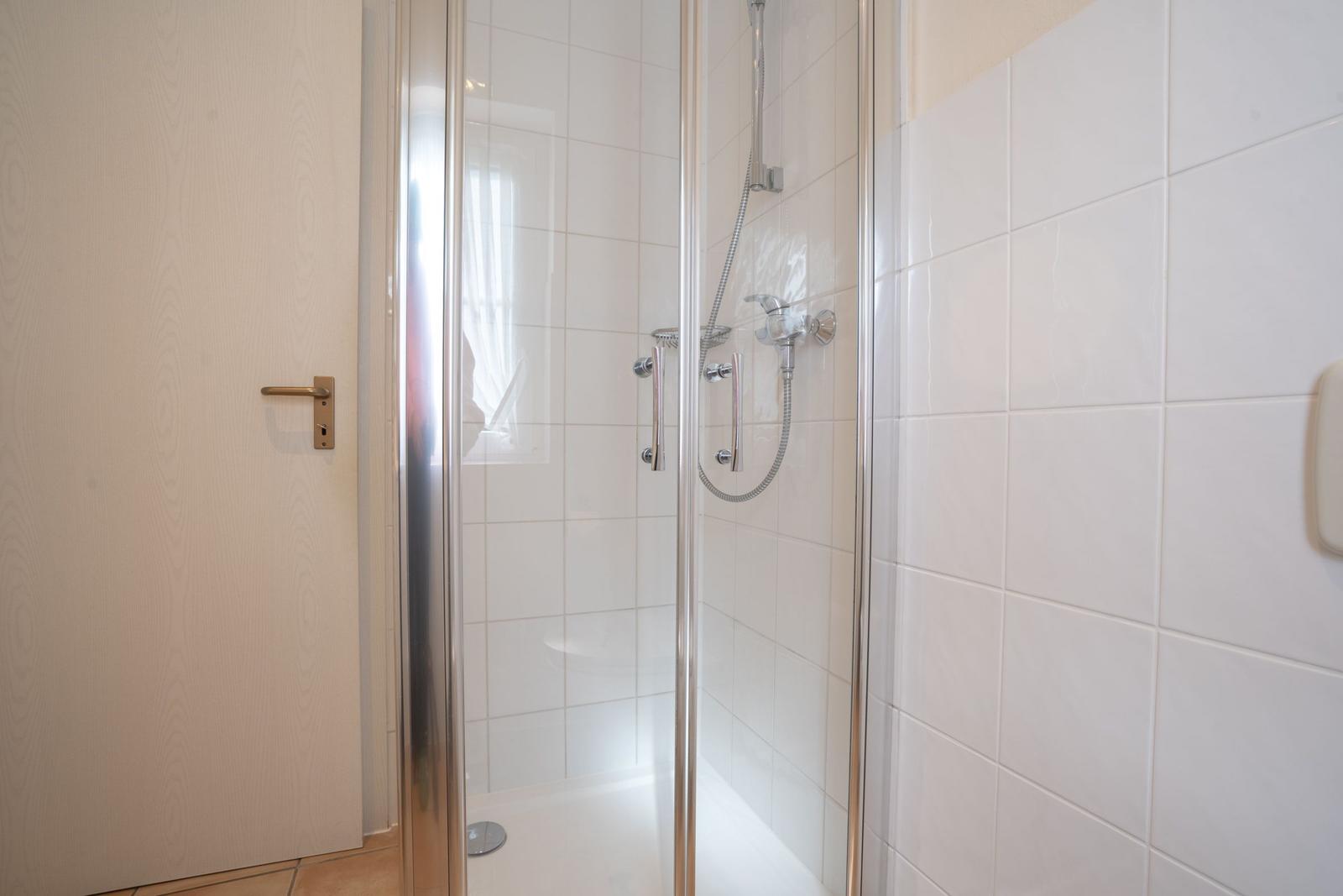 Shower with glass enclosure and showerhead