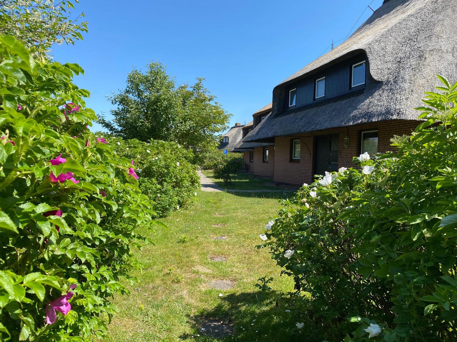 Haus mit Strohdach und Gartenweg mit Blumenhecken.