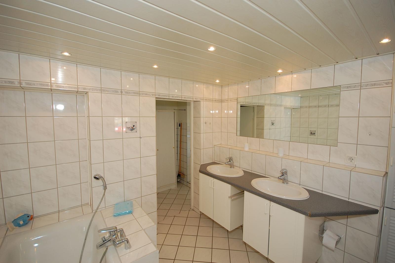 Bathroom with shower, bathtub, two sinks, and mirror.