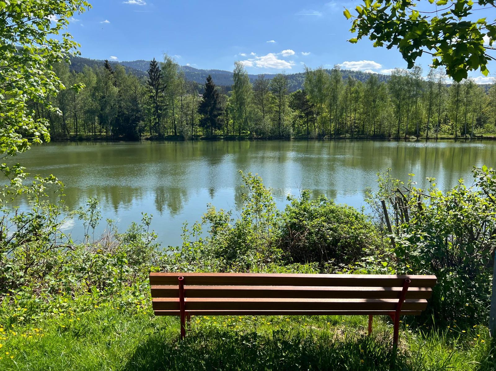 Seeblick