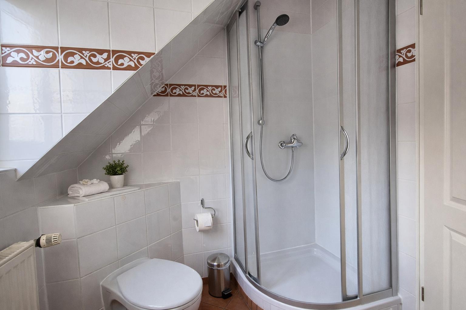 Dusche mit Glaswand, Toilette und Dachneigung mit Fliesenverkleidung.
