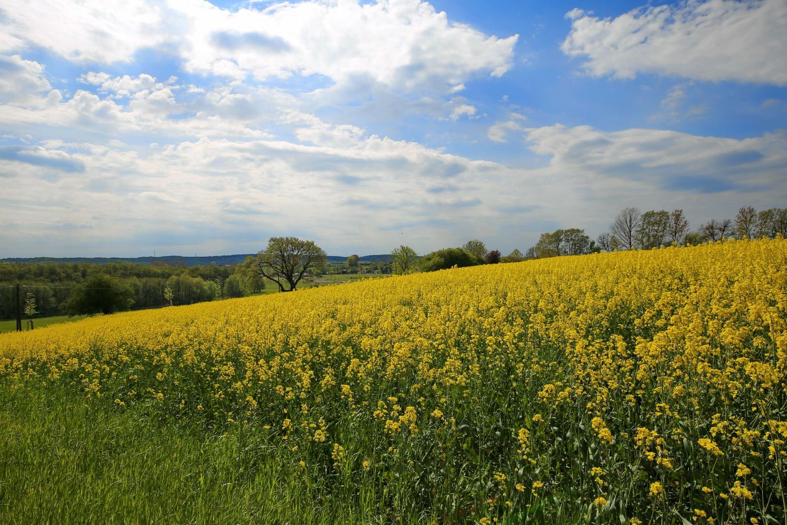 Blick auf Sehenswürdigkeit