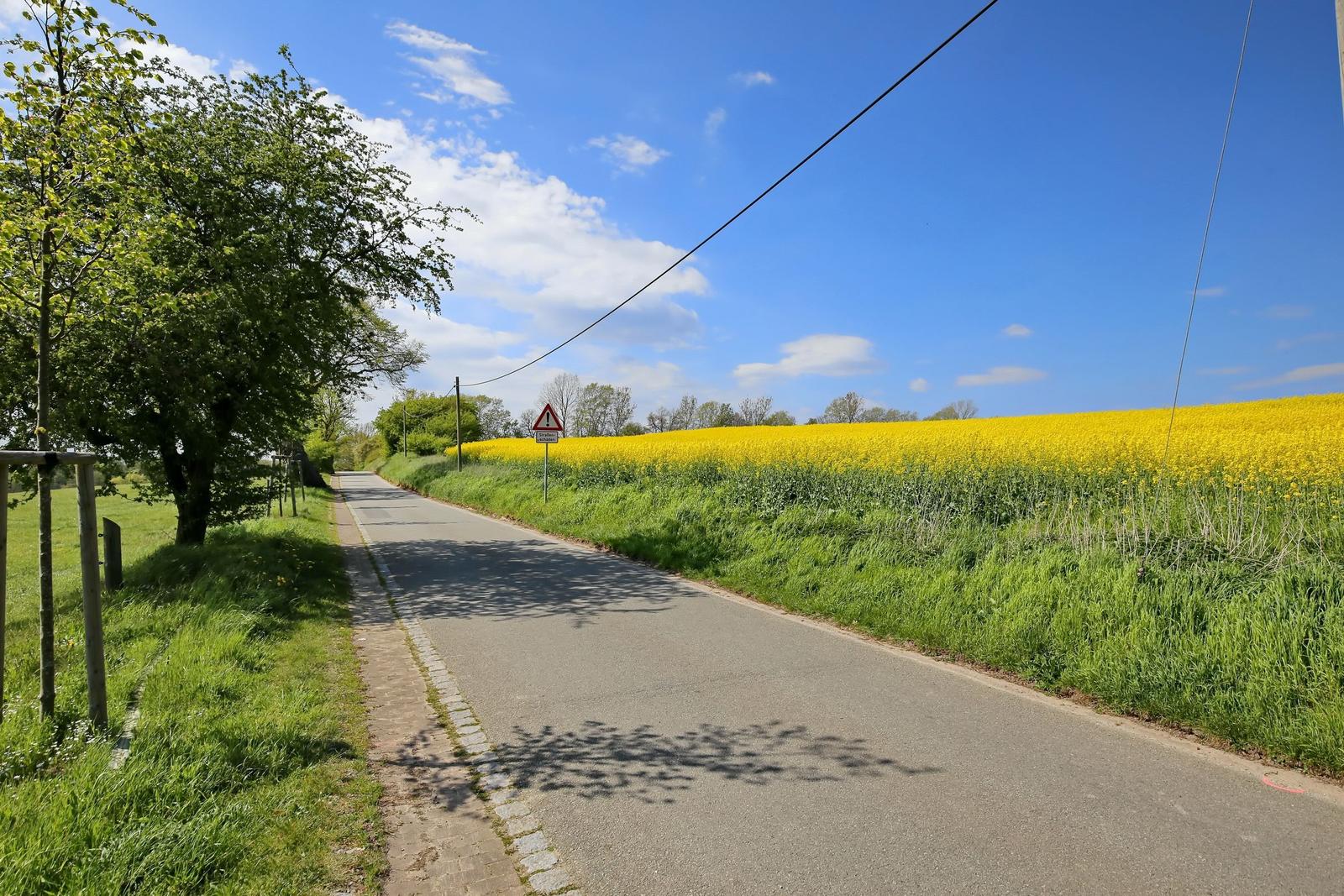 Landschaft