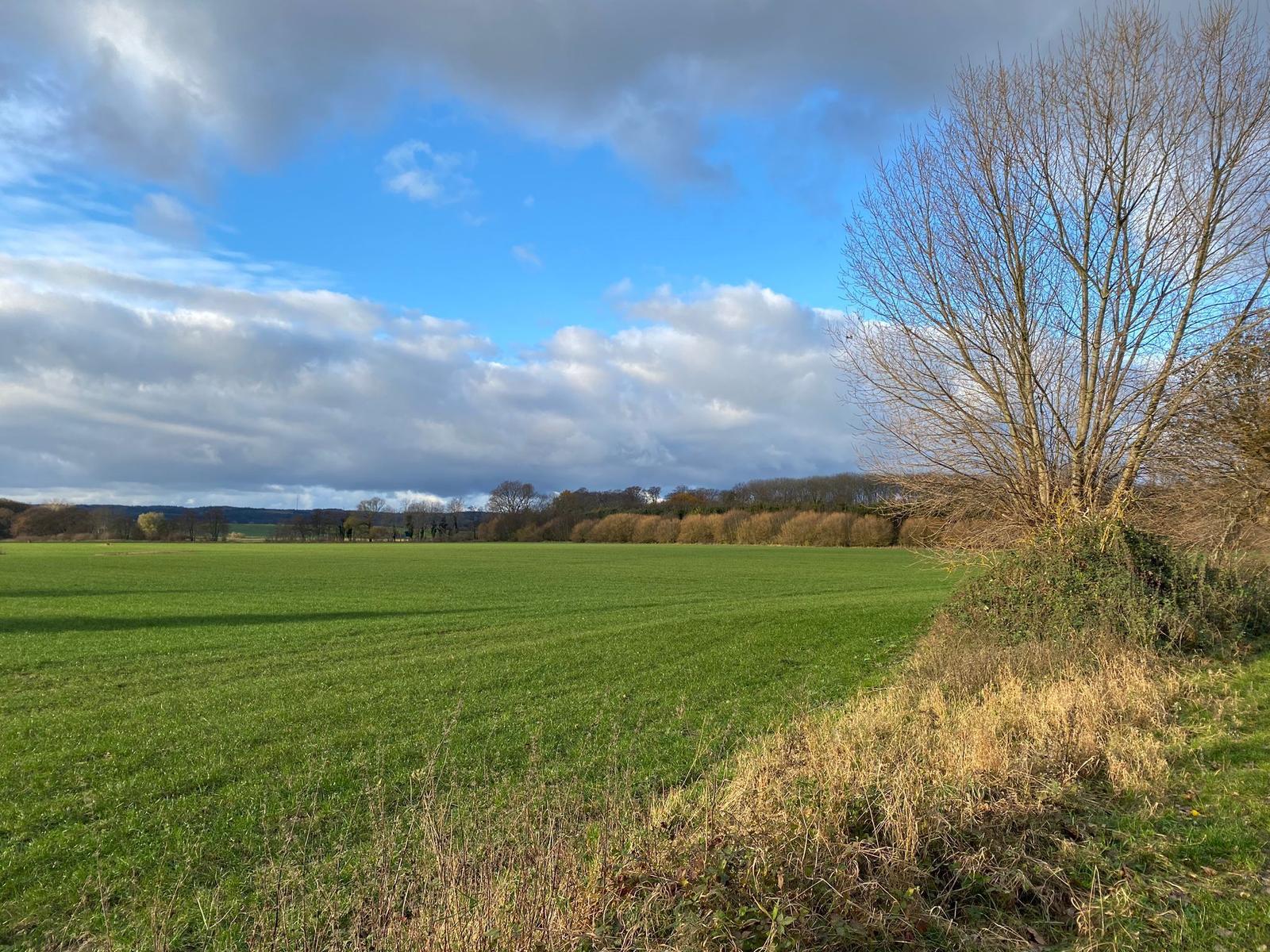 Landschaft