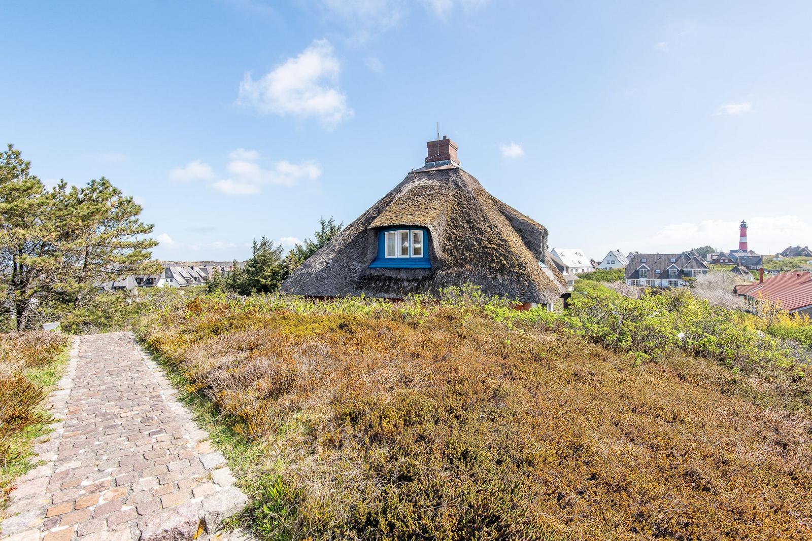 House with thatched roof and blue window, surrounded by grass and a stone path.