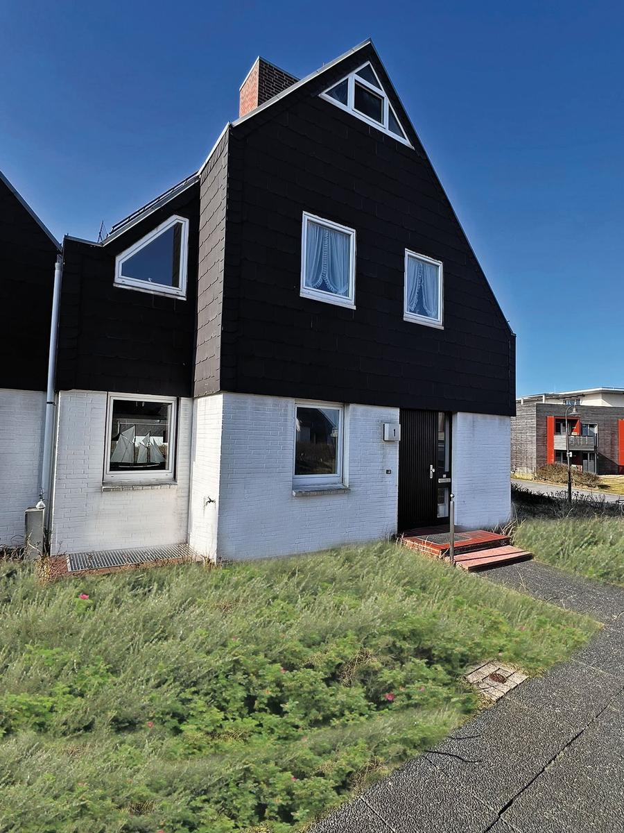 Schwarzes Haus mit weißer Fassade und Fenstern mit weißen Rahmen.