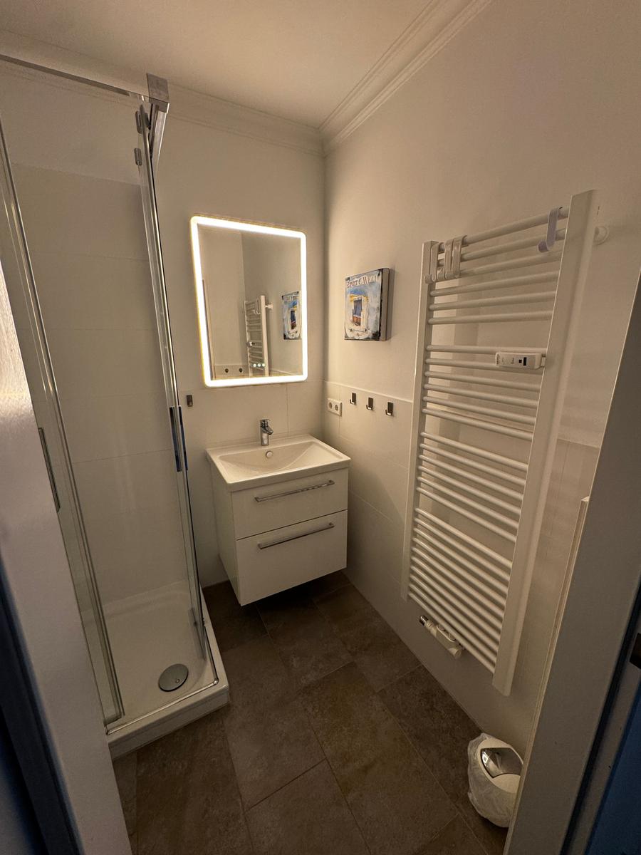 Badezimmer mit Dusche, Waschbecken und Heizkörper