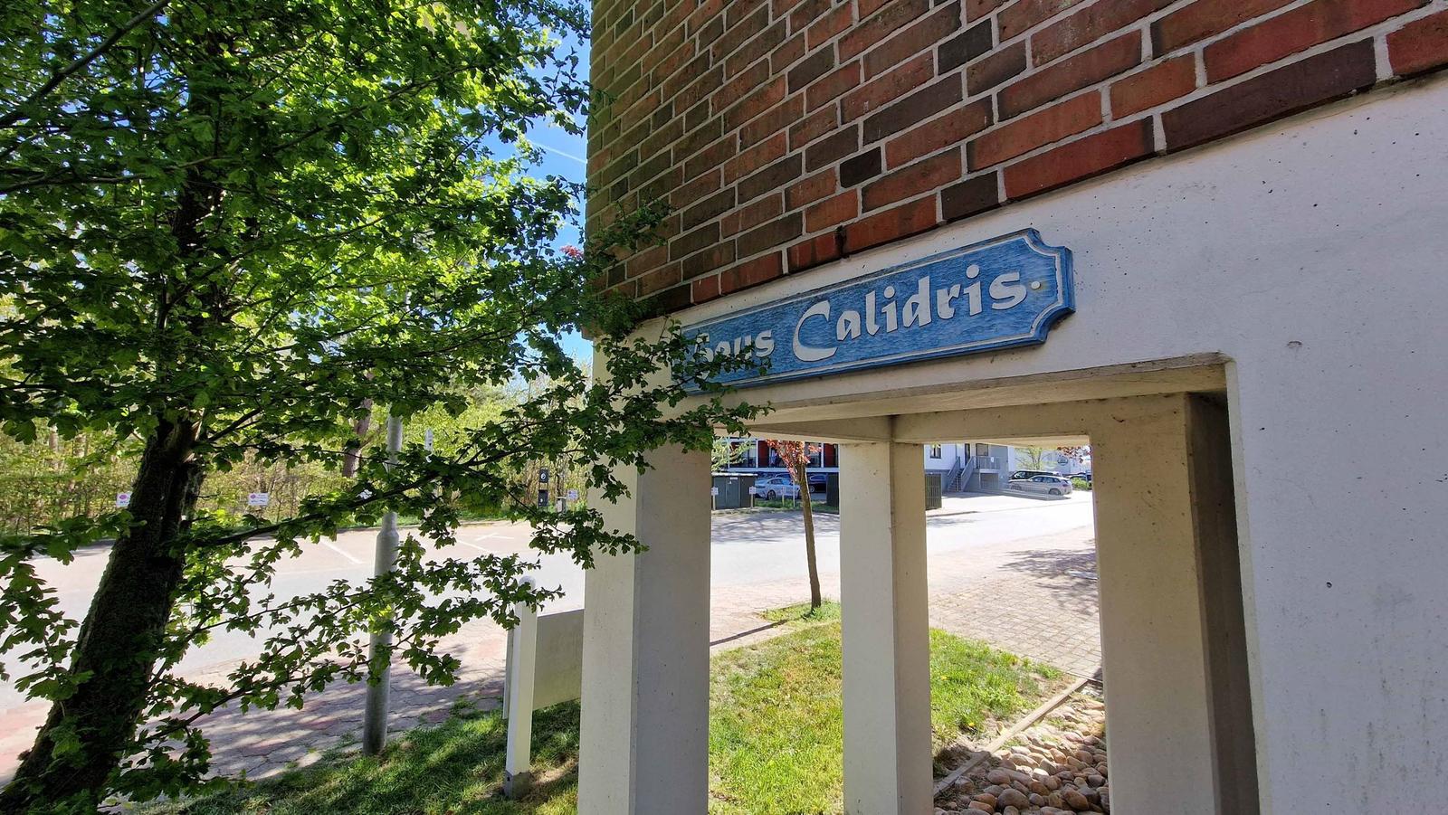 Haus Calidris mit Blick zum Strandläuferweg...