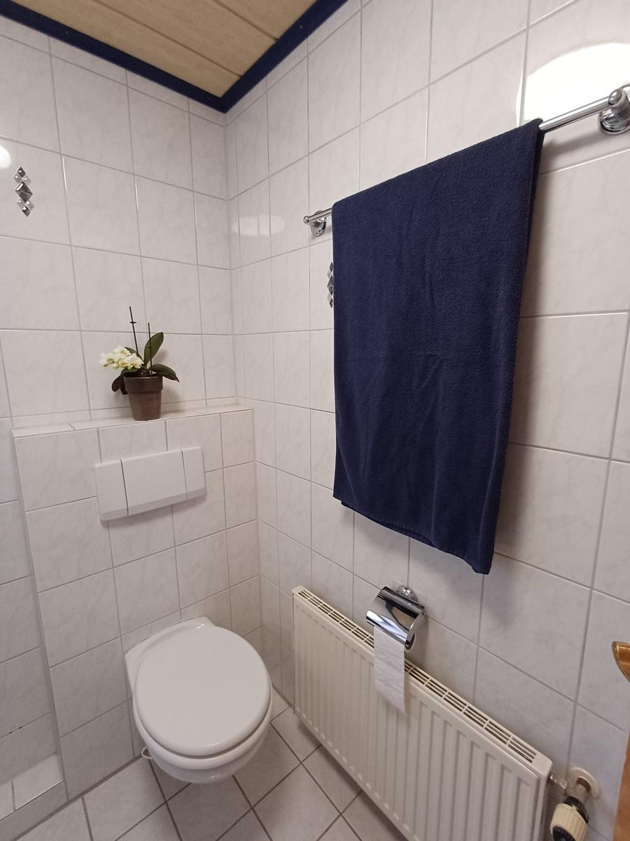 Badezimmer mit Toilette, Heizkörper und Handtuchhalter. Wandtasse mit Pflanze.